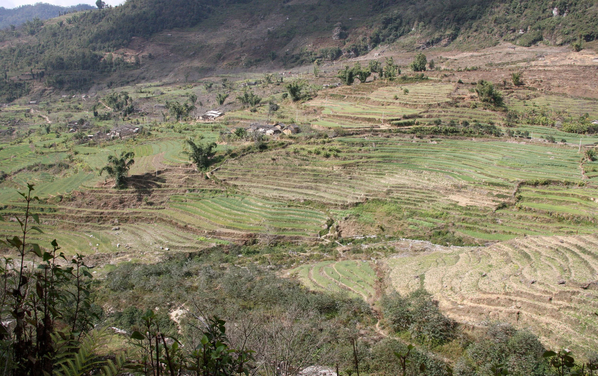 YUNNAN - WULIANGSHAN NATURE RESERVE AND SURROUNDING REGION (47).JPG