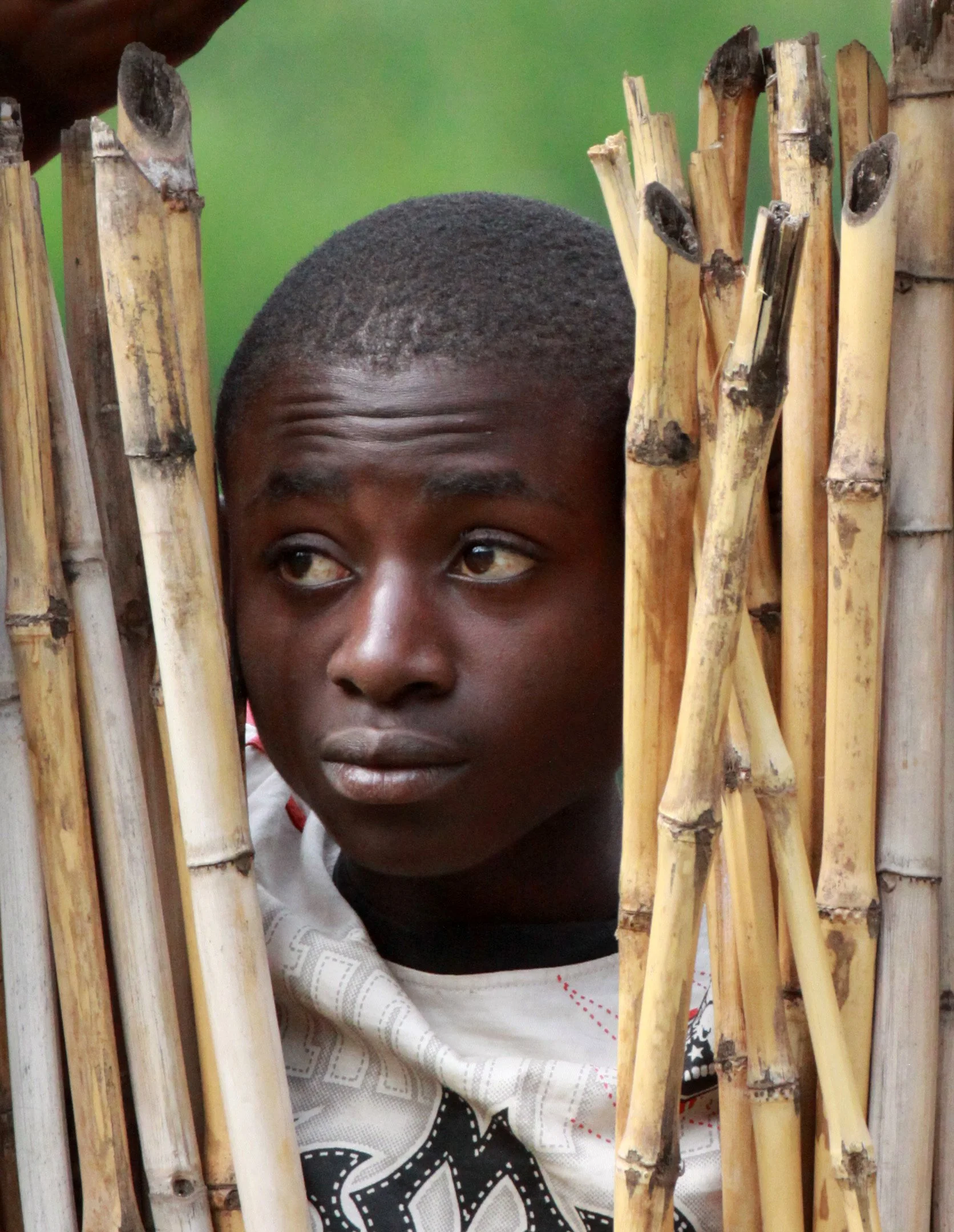 RWENZORI NATIONAL PARK UGANDA (301).JPG