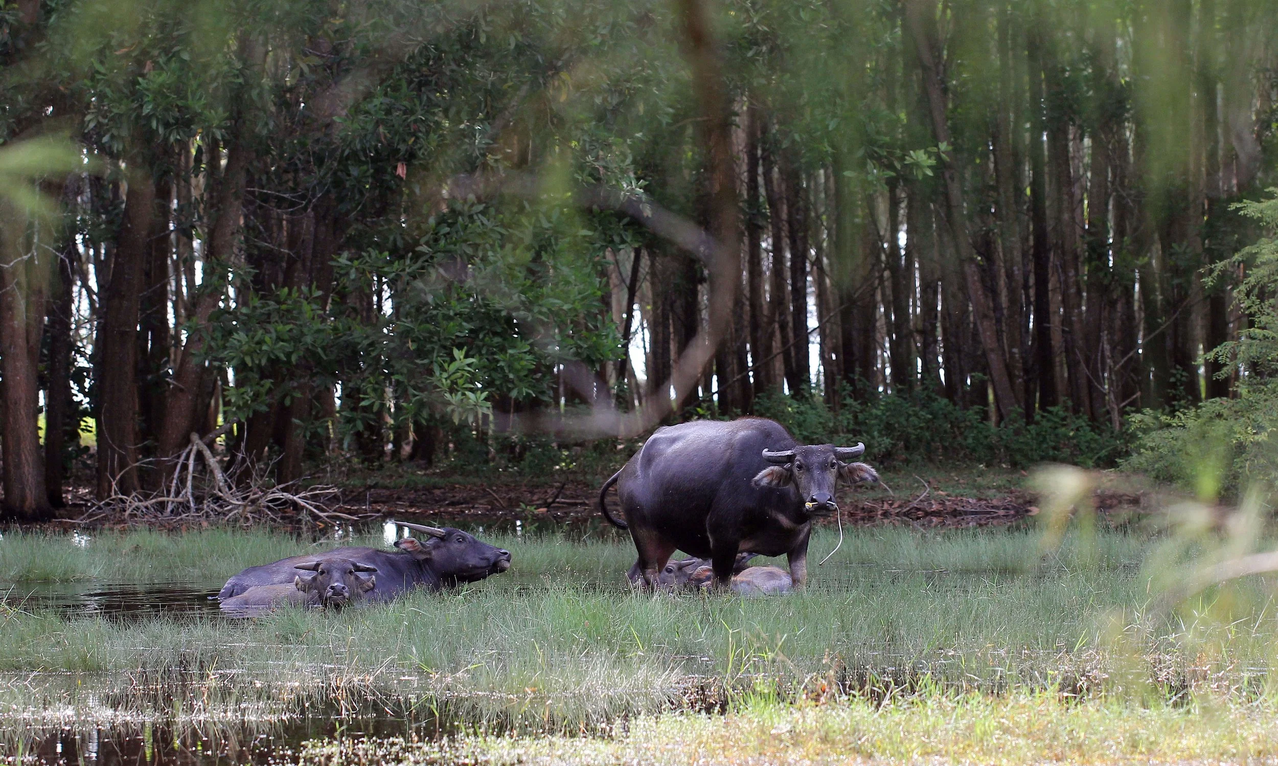 2015 Koh Lanta October Break Trip  (48).JPG