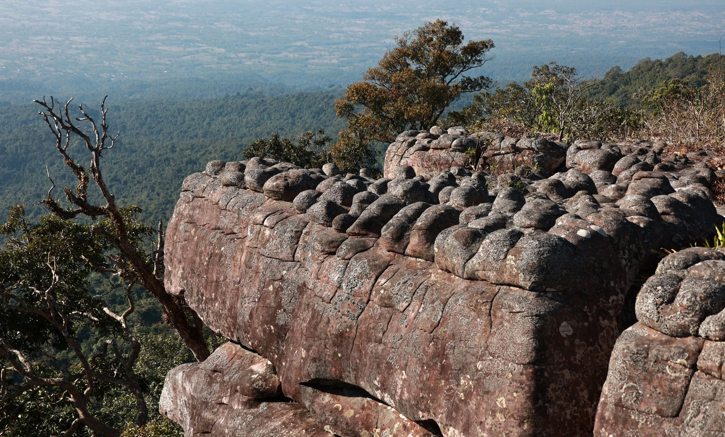 Phu Hin Rong Kla National Park Loei Province (94).jpg