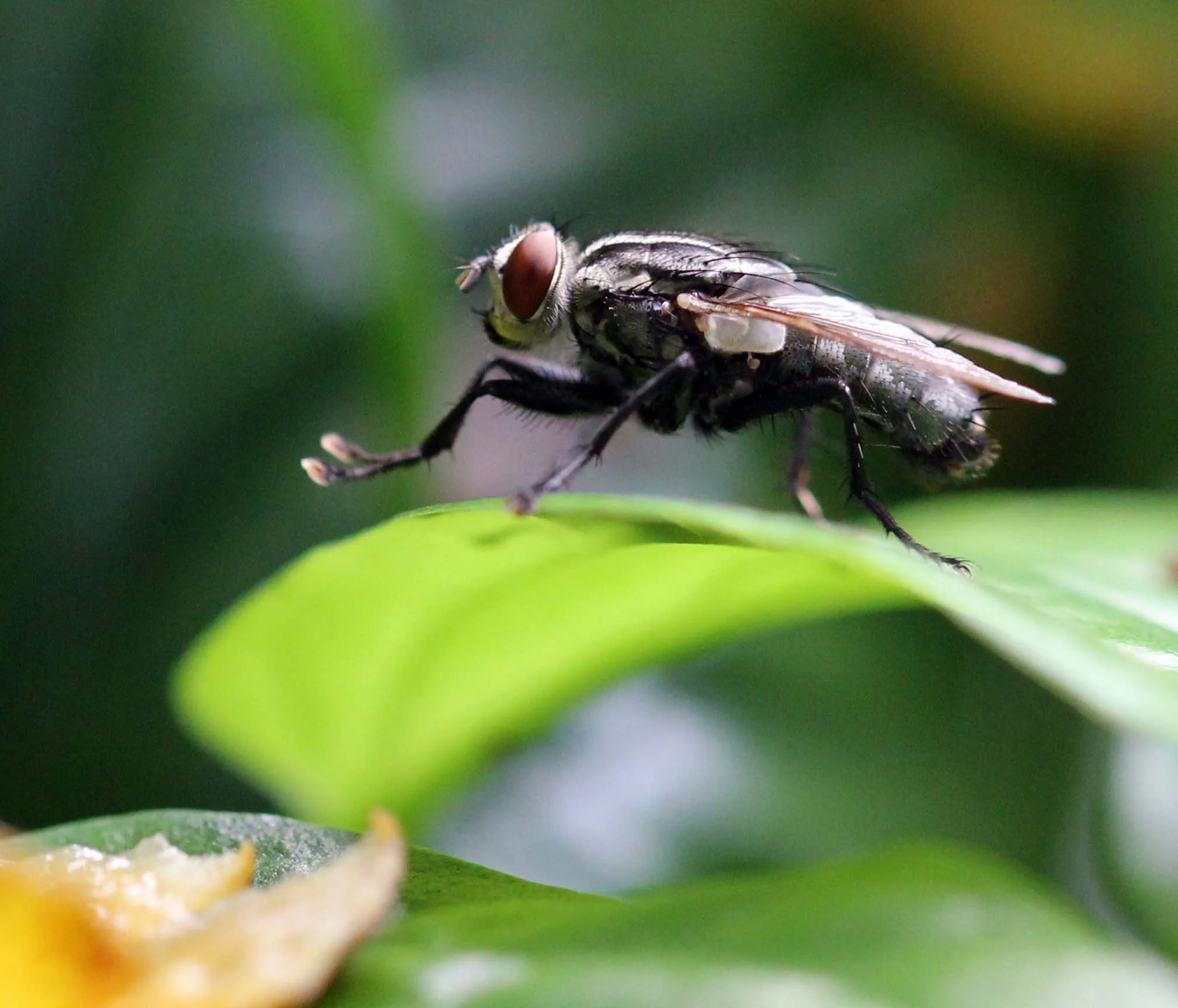 NAKHON & KRABI-LANTA - OCTOBER BREAK 2013 (57).JPG