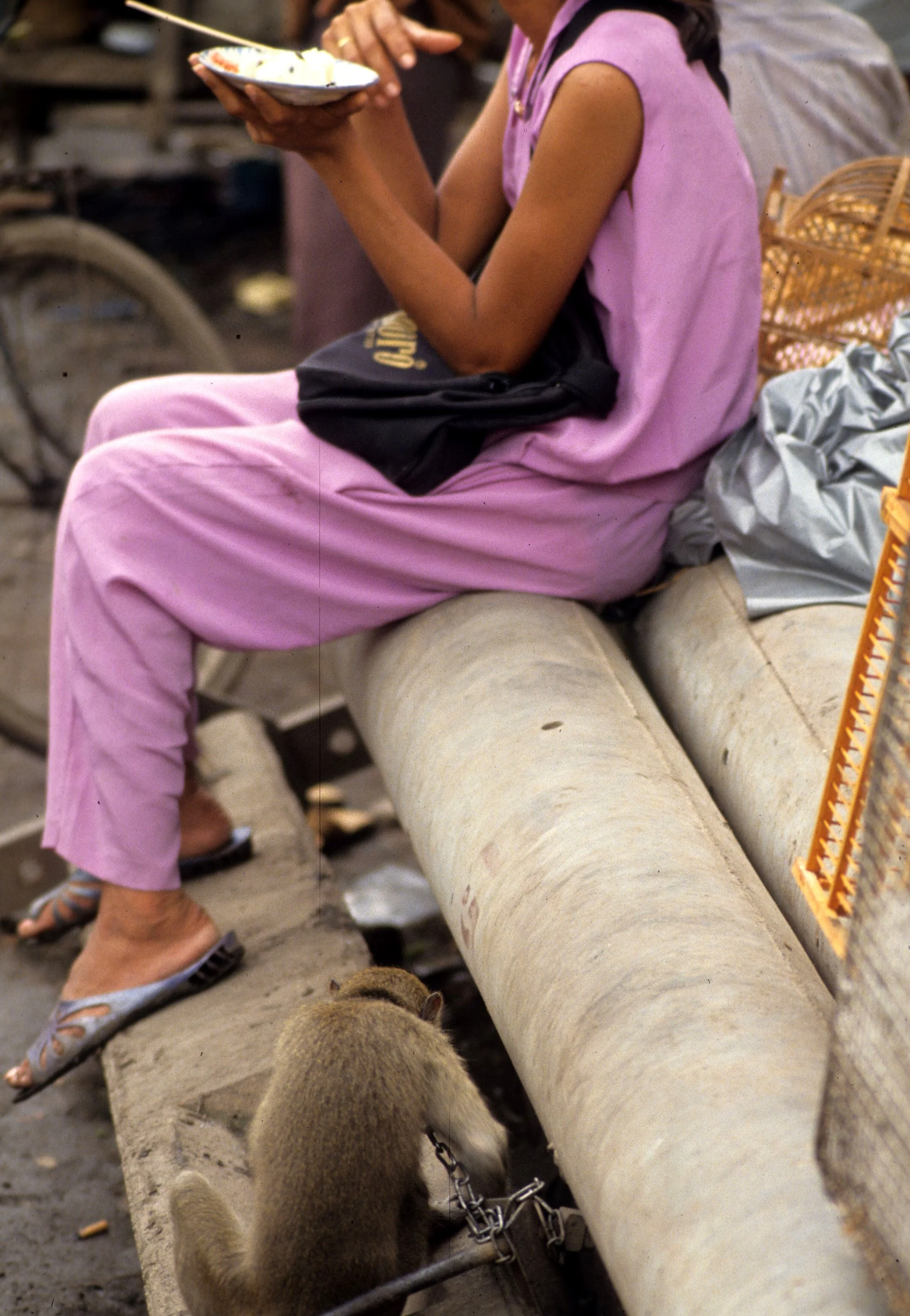 SAIGON - PET MARKETS.jpg