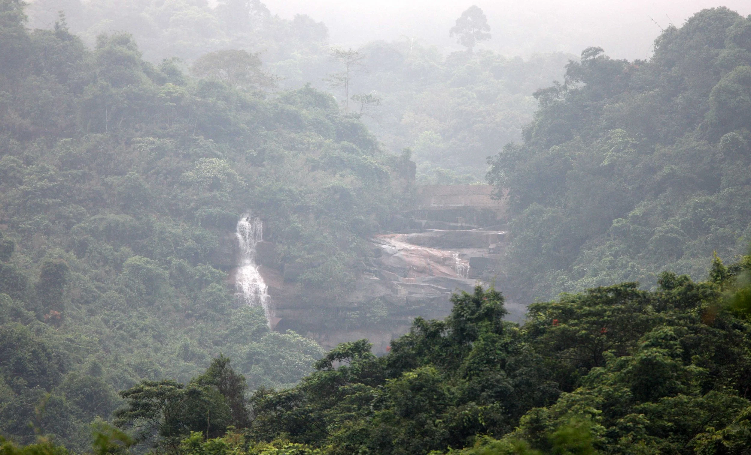 BACH MA NATIONAL PARK AND VICINIT VIET NAM (14).JPG