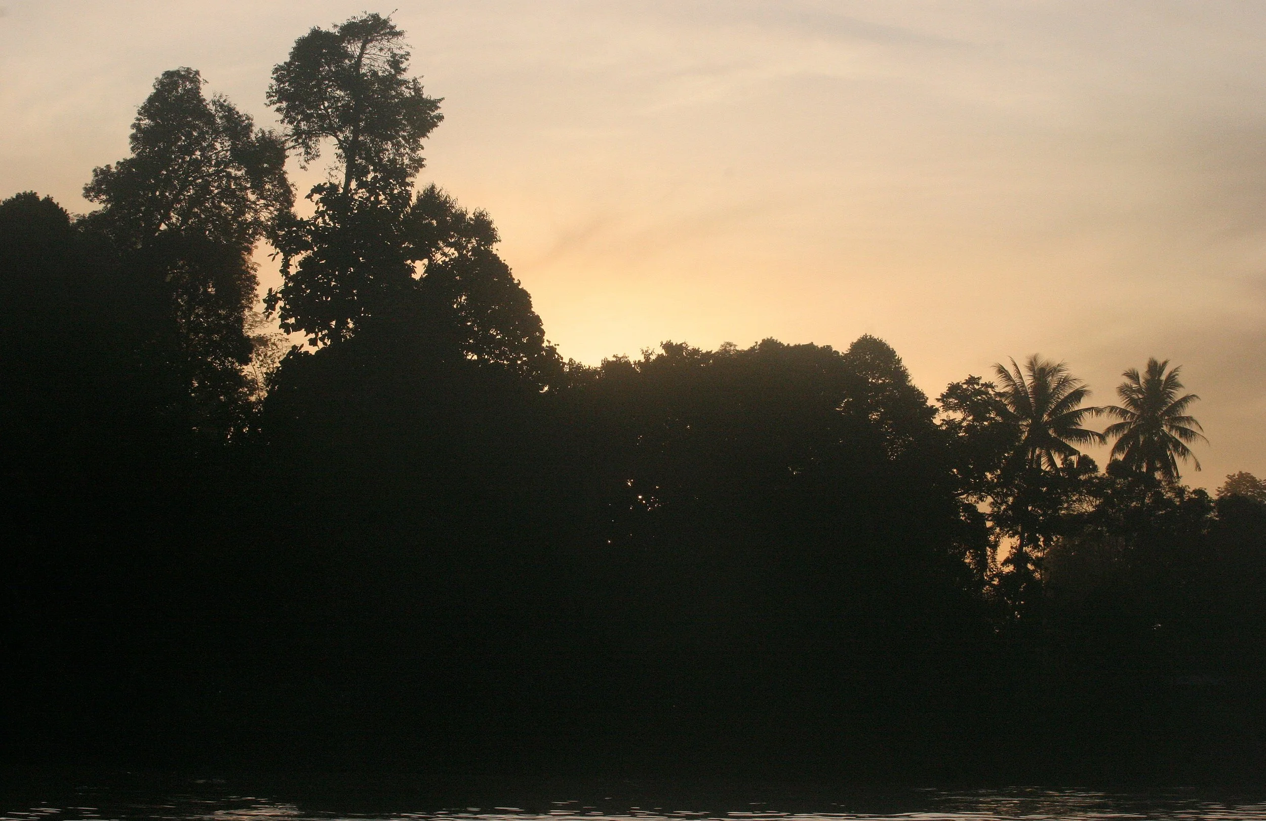 KINABATANGAN RIVER BORNEO - SUNSET (9).JPG