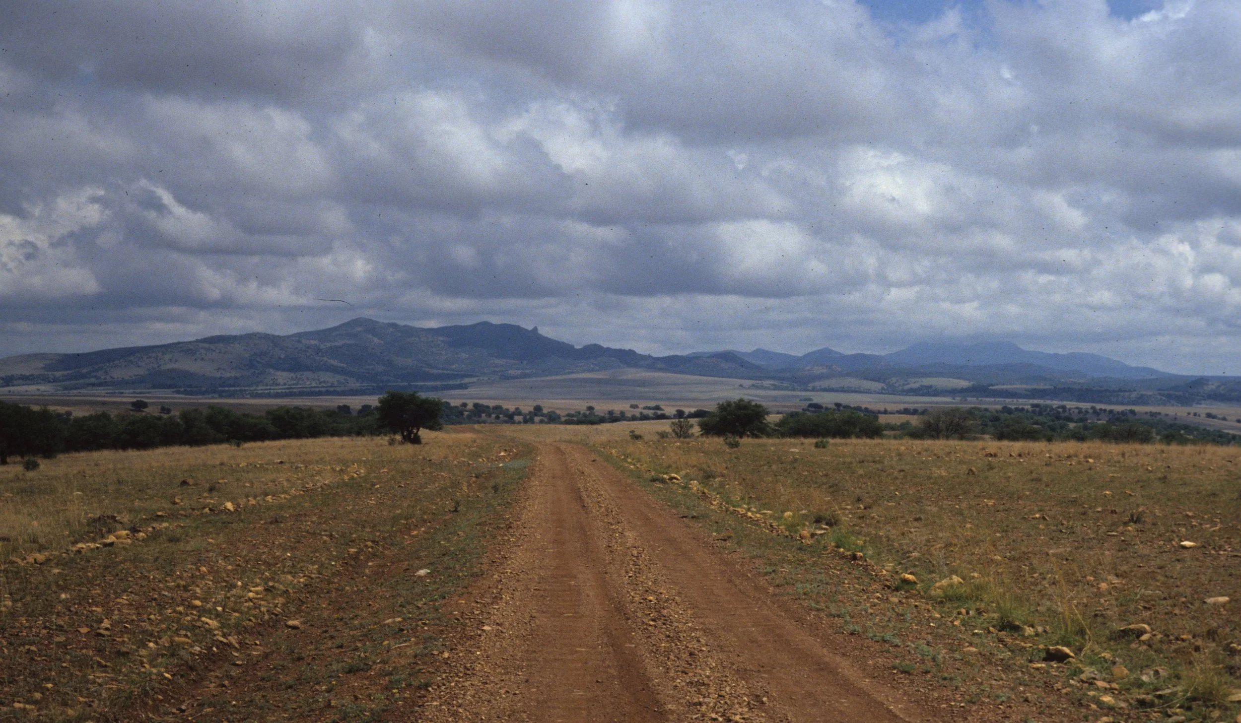 ARIZONA - MADERA CANYON A.jpg