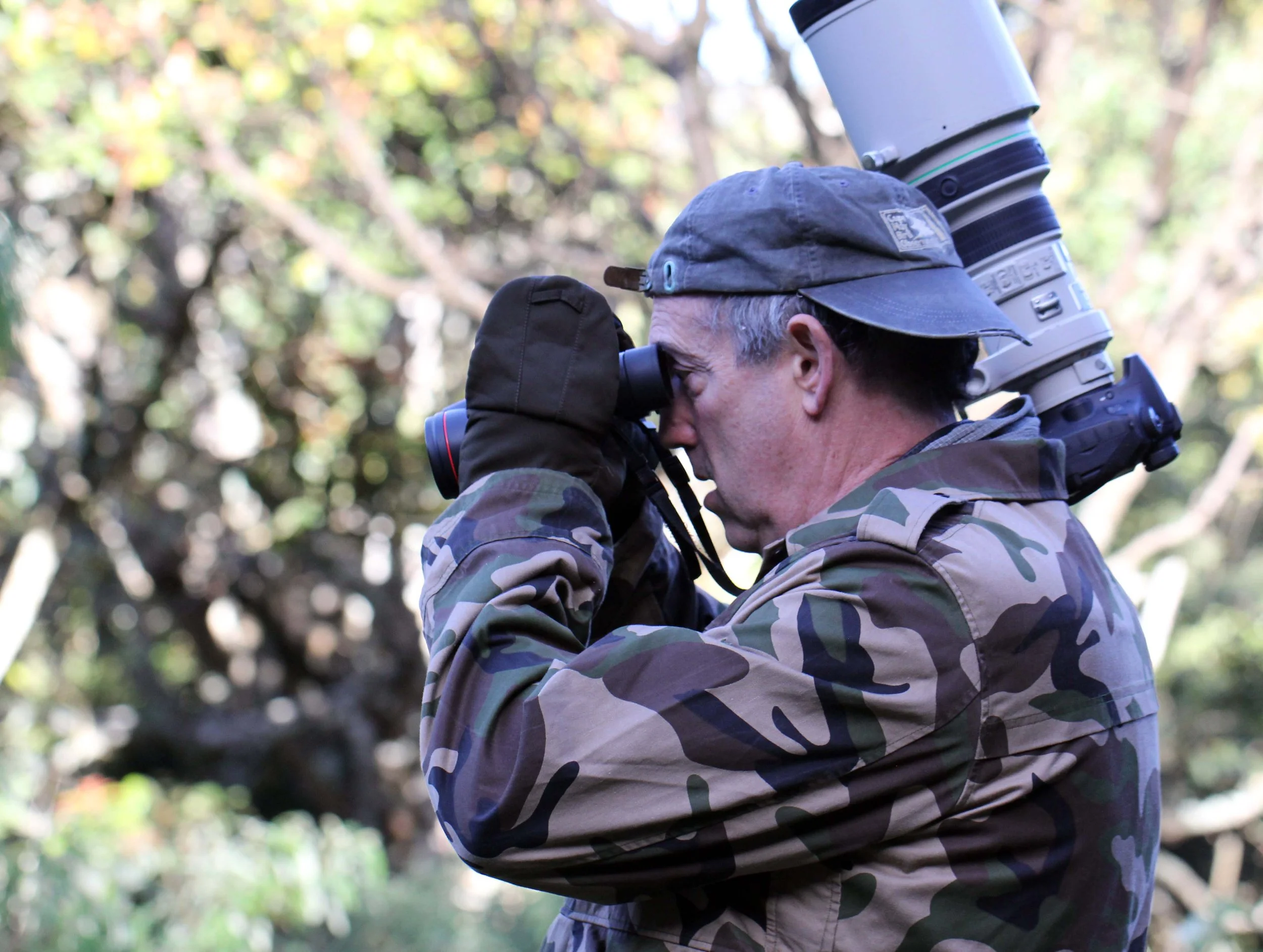 PAMPADUM SHOLA NATIONAL PARK - KERALA INDIA - PHOTO BY SOM SMITH (61).JPG