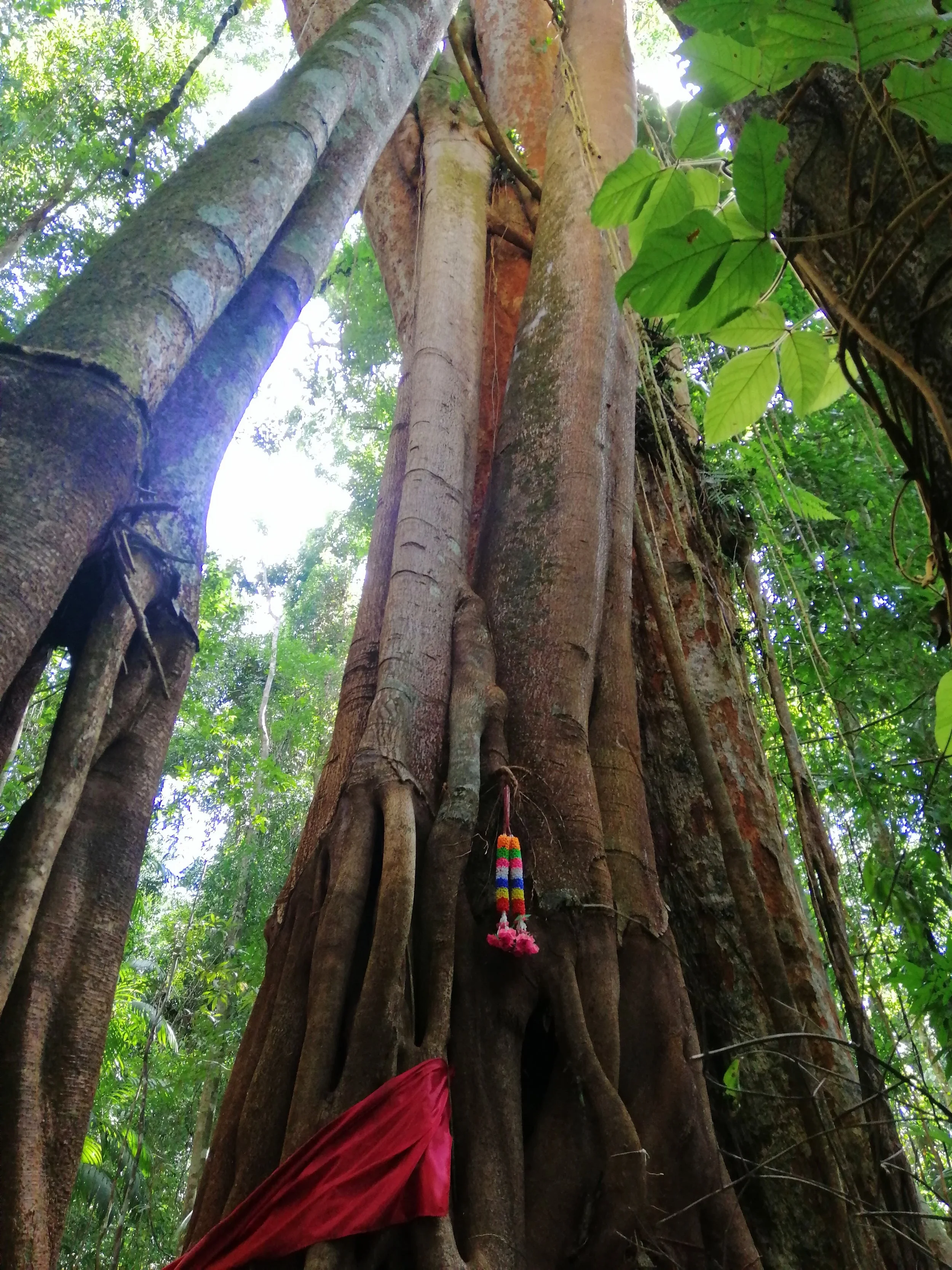 2019 Koh Kood Road Trip (57).jpg
