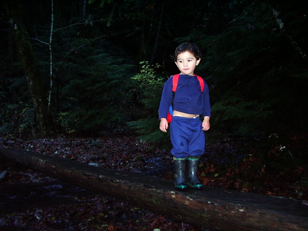2004-11-18 HIKE WITH COKIE IN THE FOREST (7).JPG