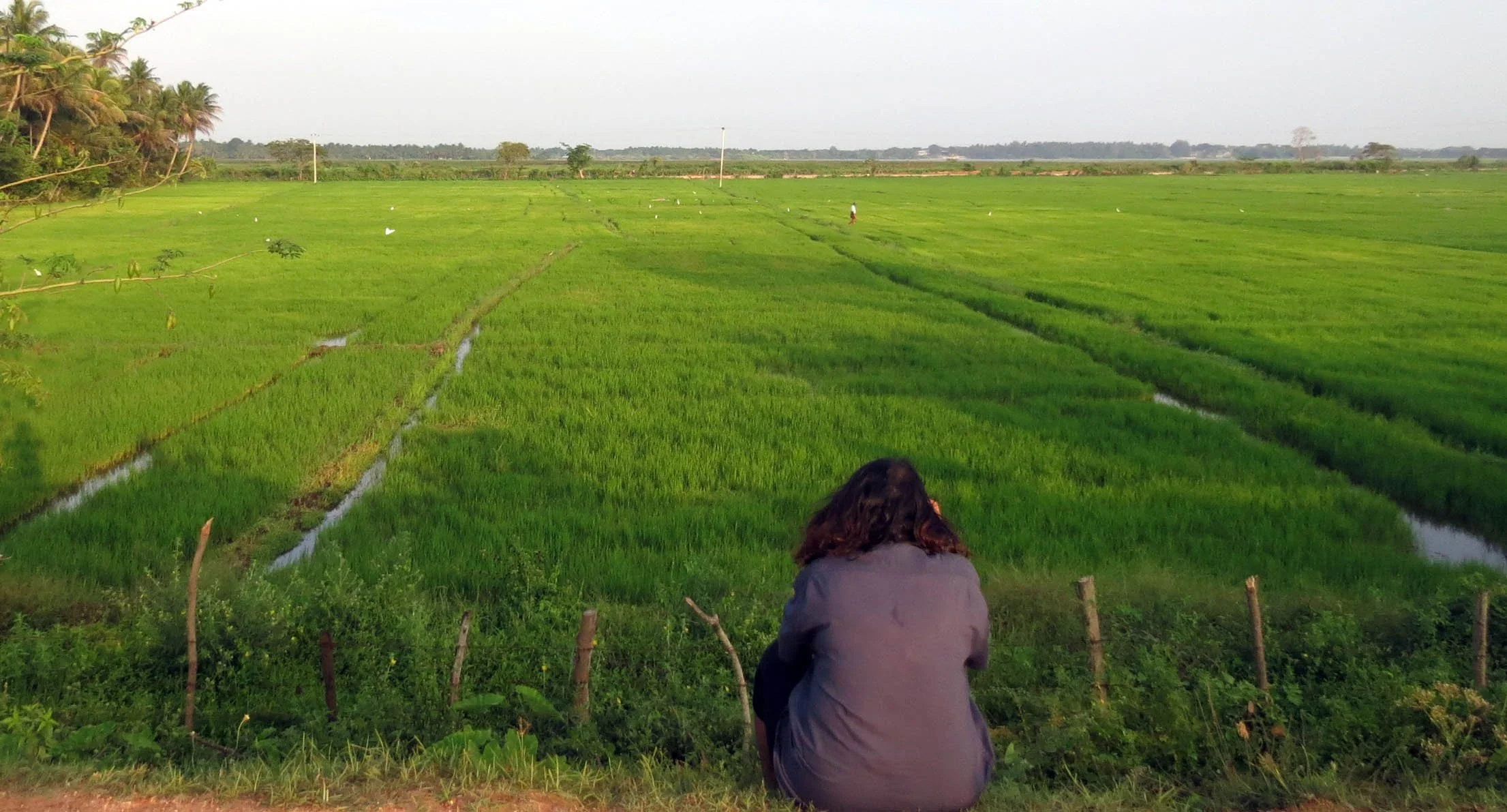 YALA NATIONAL PARK SRI LANKA - KIRINDA VILLAGE AREA (4).JPG