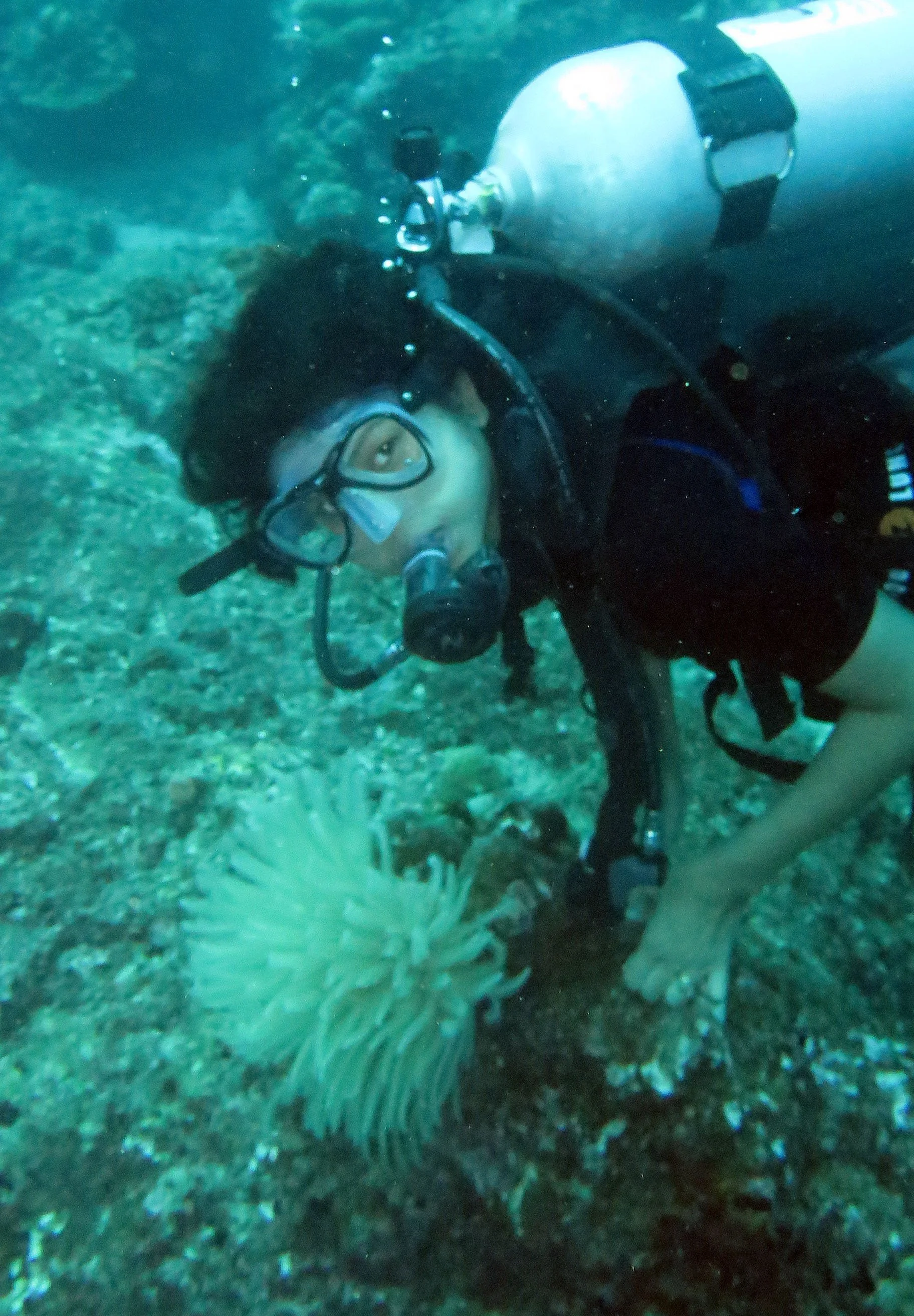 2016 Similans Trip with ISB GCW (39).JPG