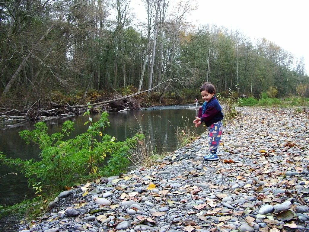 2004-11-18 HIKE WITH COKIE IN THE FOREST (2).JPG