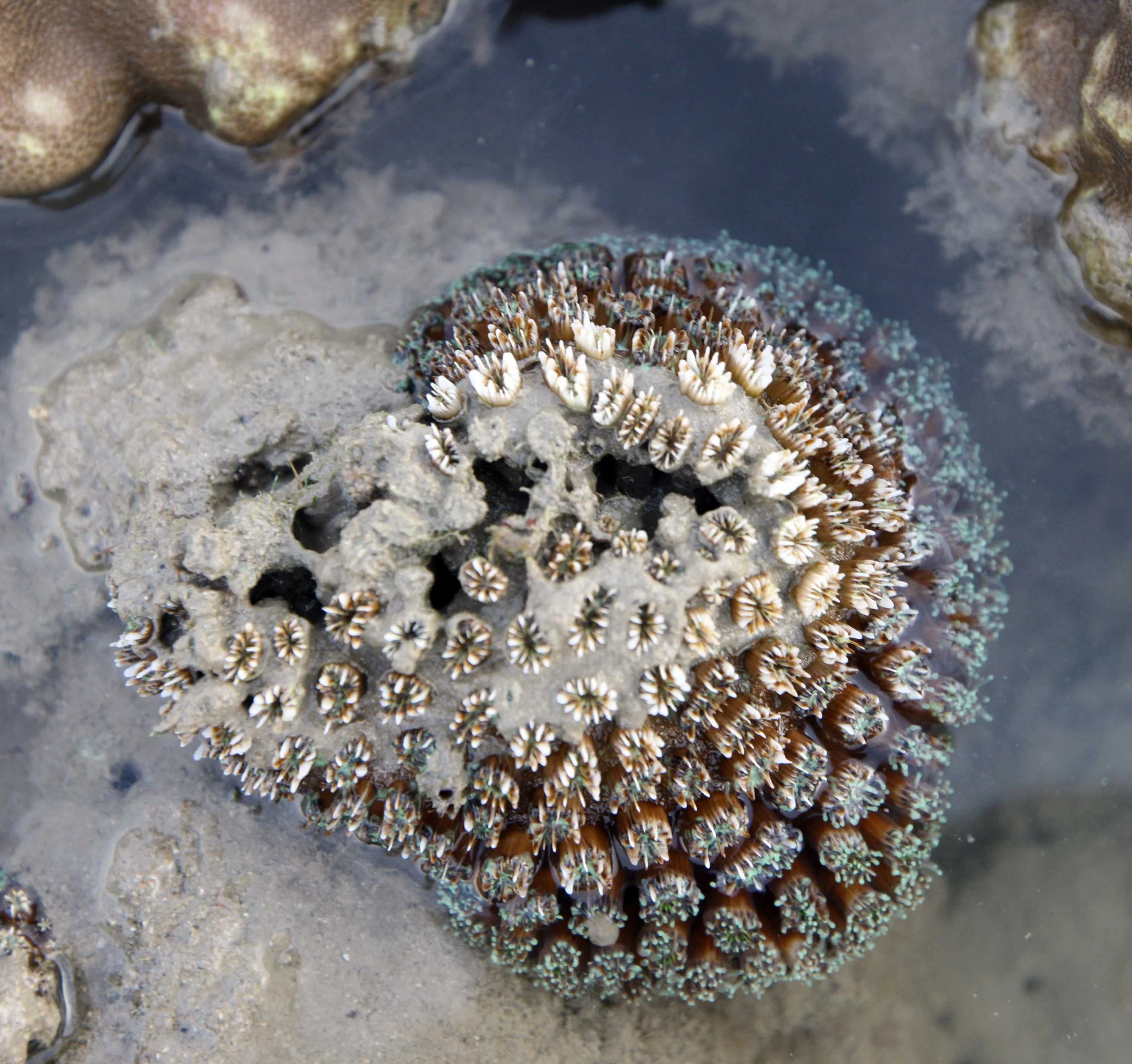 2015 Koh Lanta Songkran with friends from ISB (254).JPG