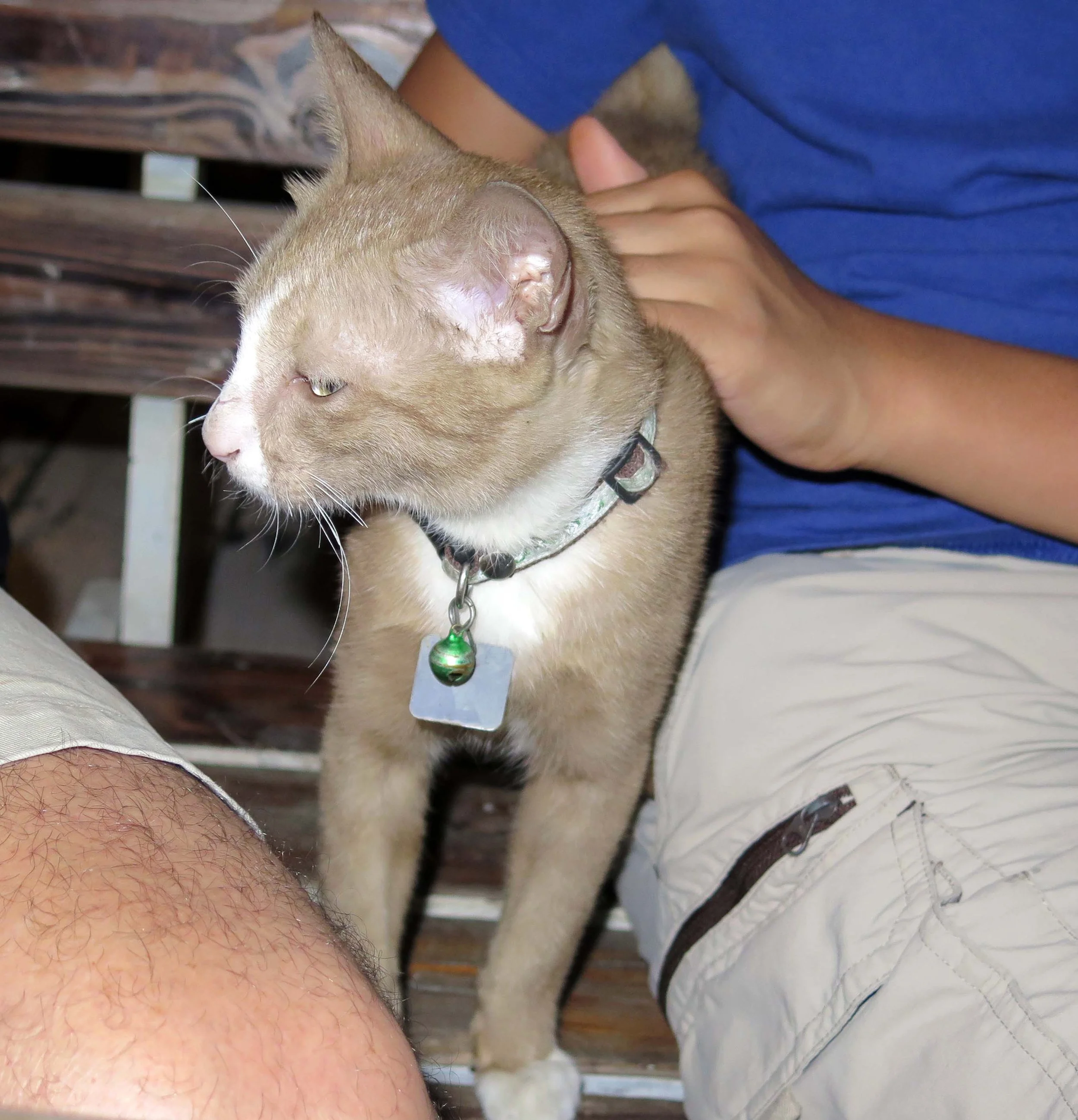 2013 - BANGKOK - NOVEMBER 2013 - MARCH 2014 (50).JPG