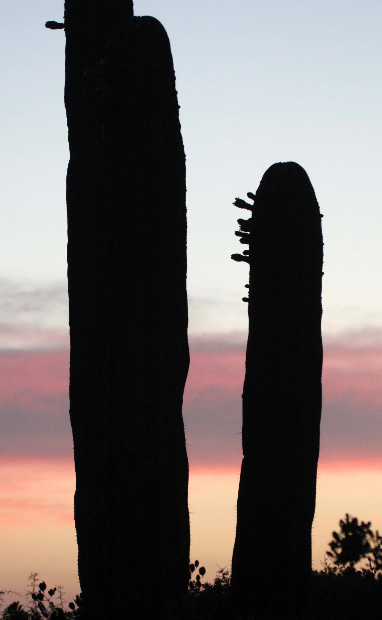 ISLA SANTA CATALINA BAJA MEXIO - SUNSET LANDSCAPES (36).JPG