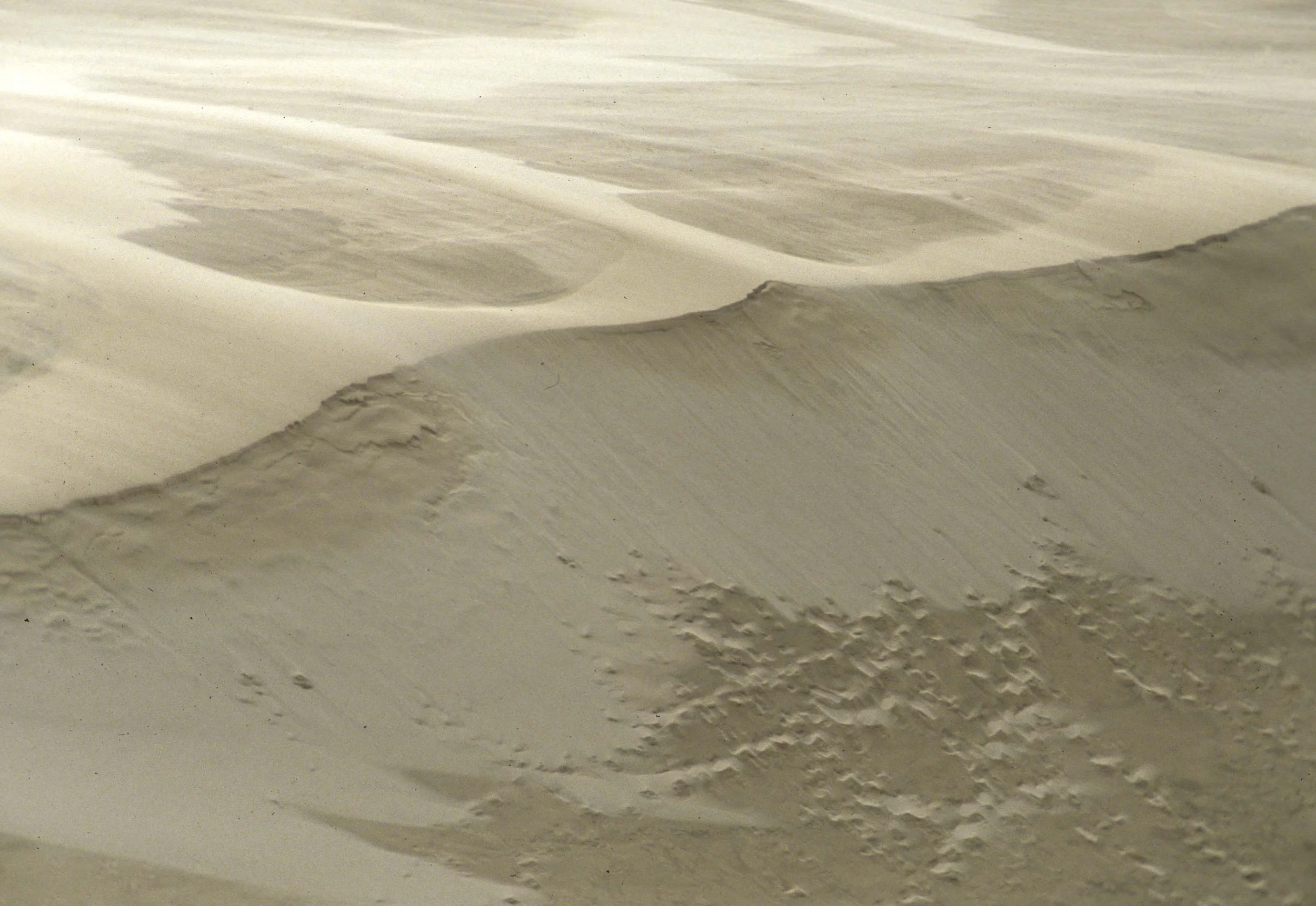 OREGON - OREGON DUNES NS (2).jpg