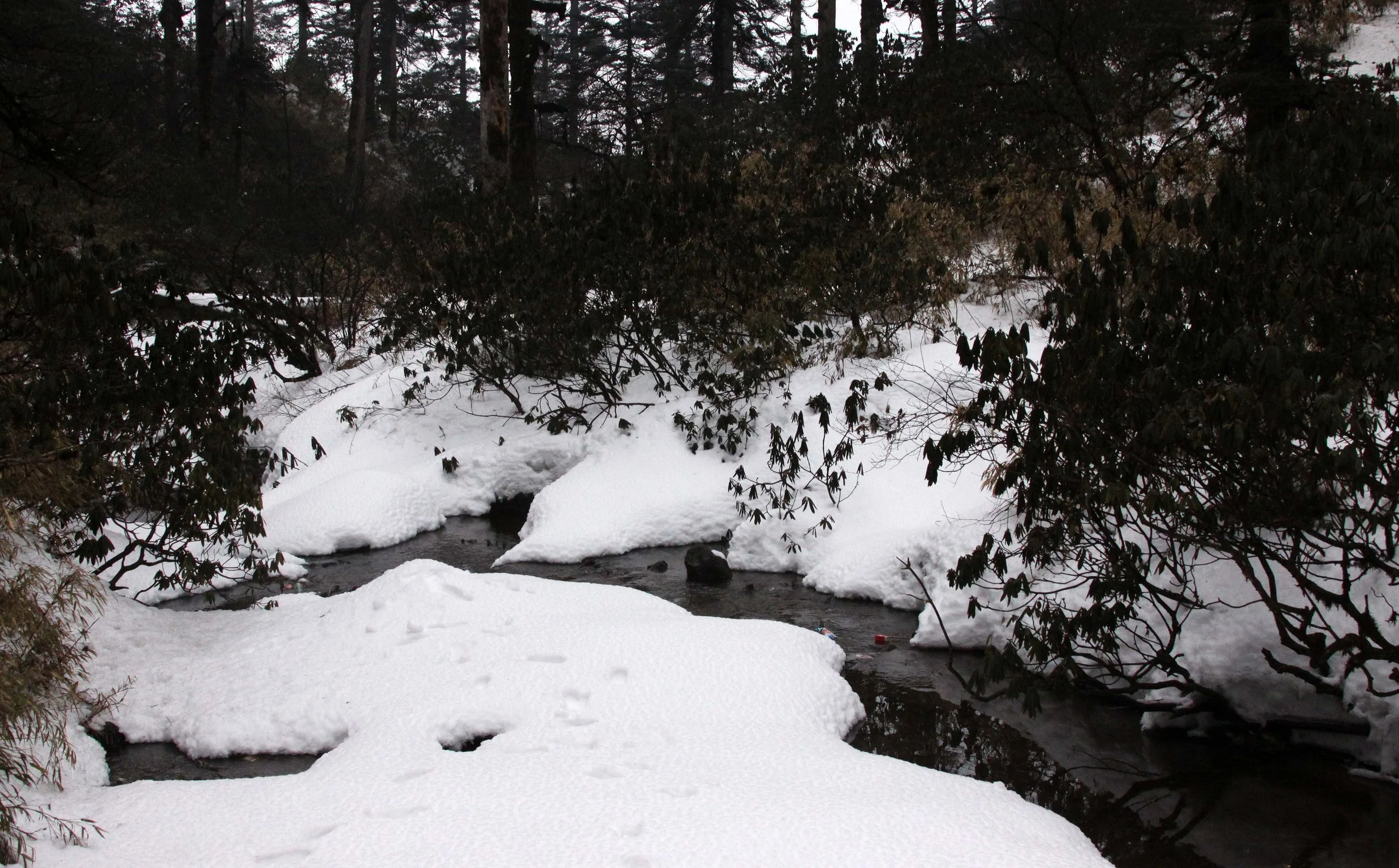 WAWU SHAN GEOPARK - SICHUAN CHINA (25).JPG