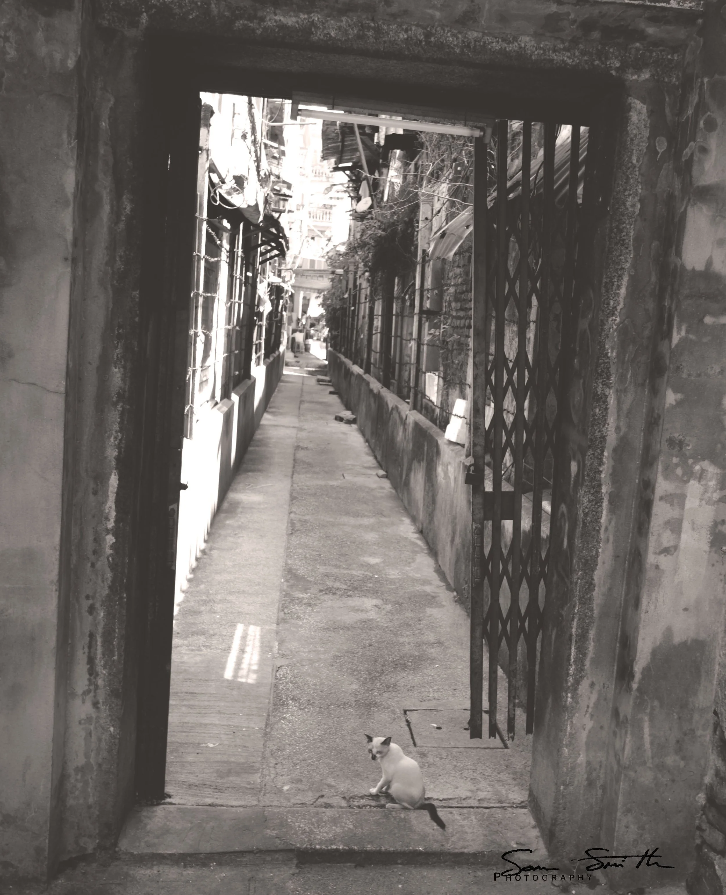 2017 Graffiti Tour in Bangkok (224).JPG