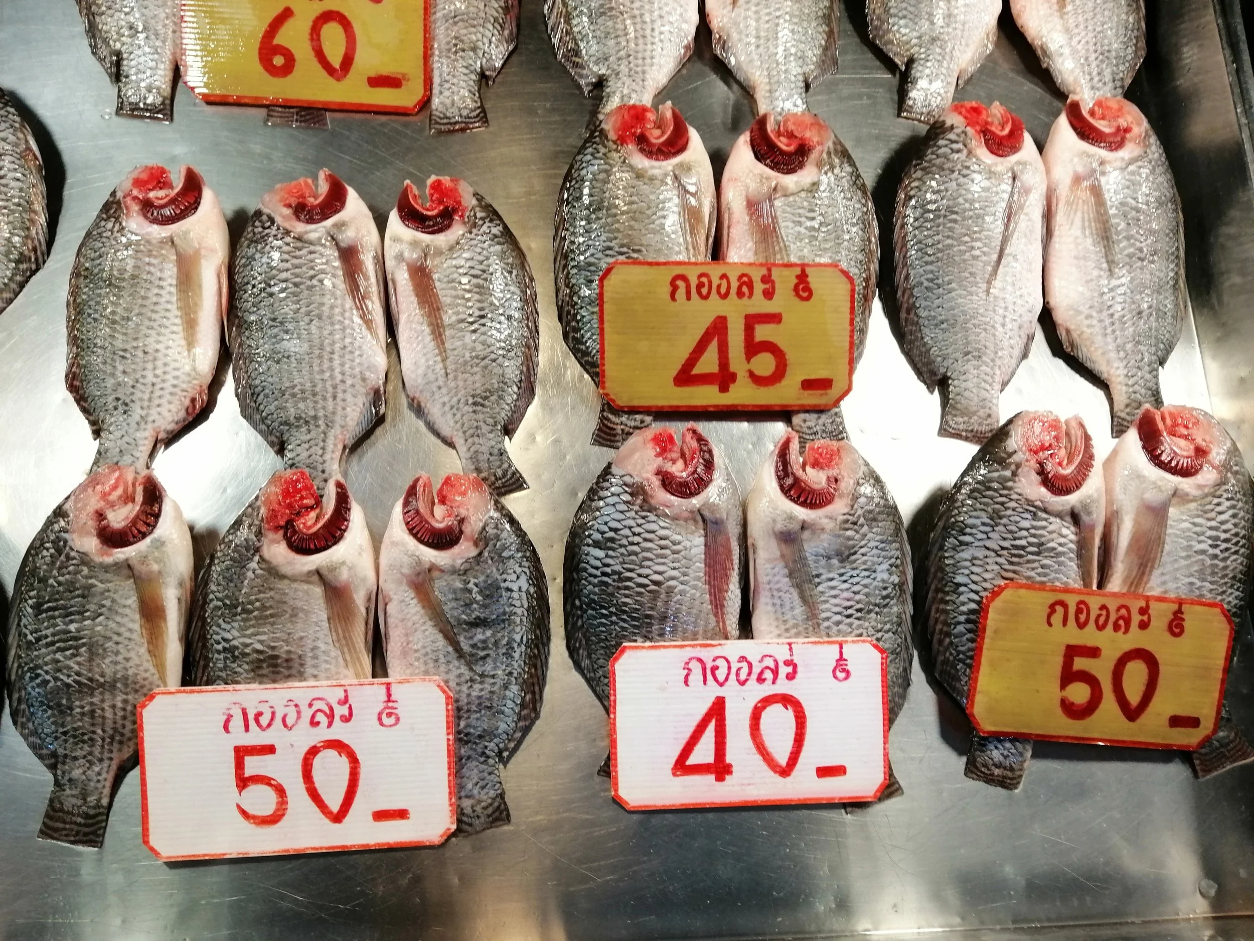 2019 Motorcycle Ride with Cokie to Samut Prakan  (189).jpg