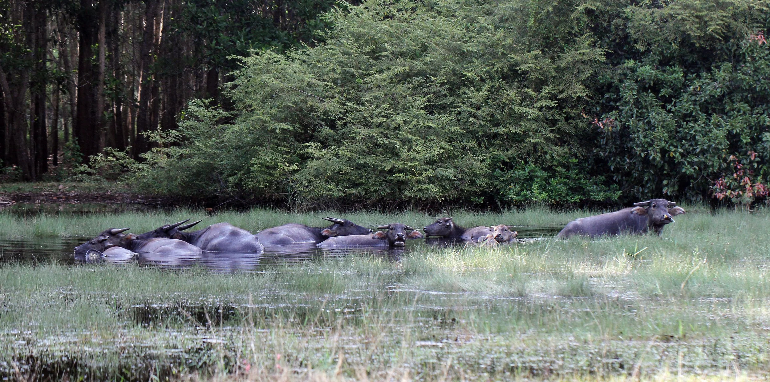 2015 Koh Lanta October Break Trip  (55).JPG