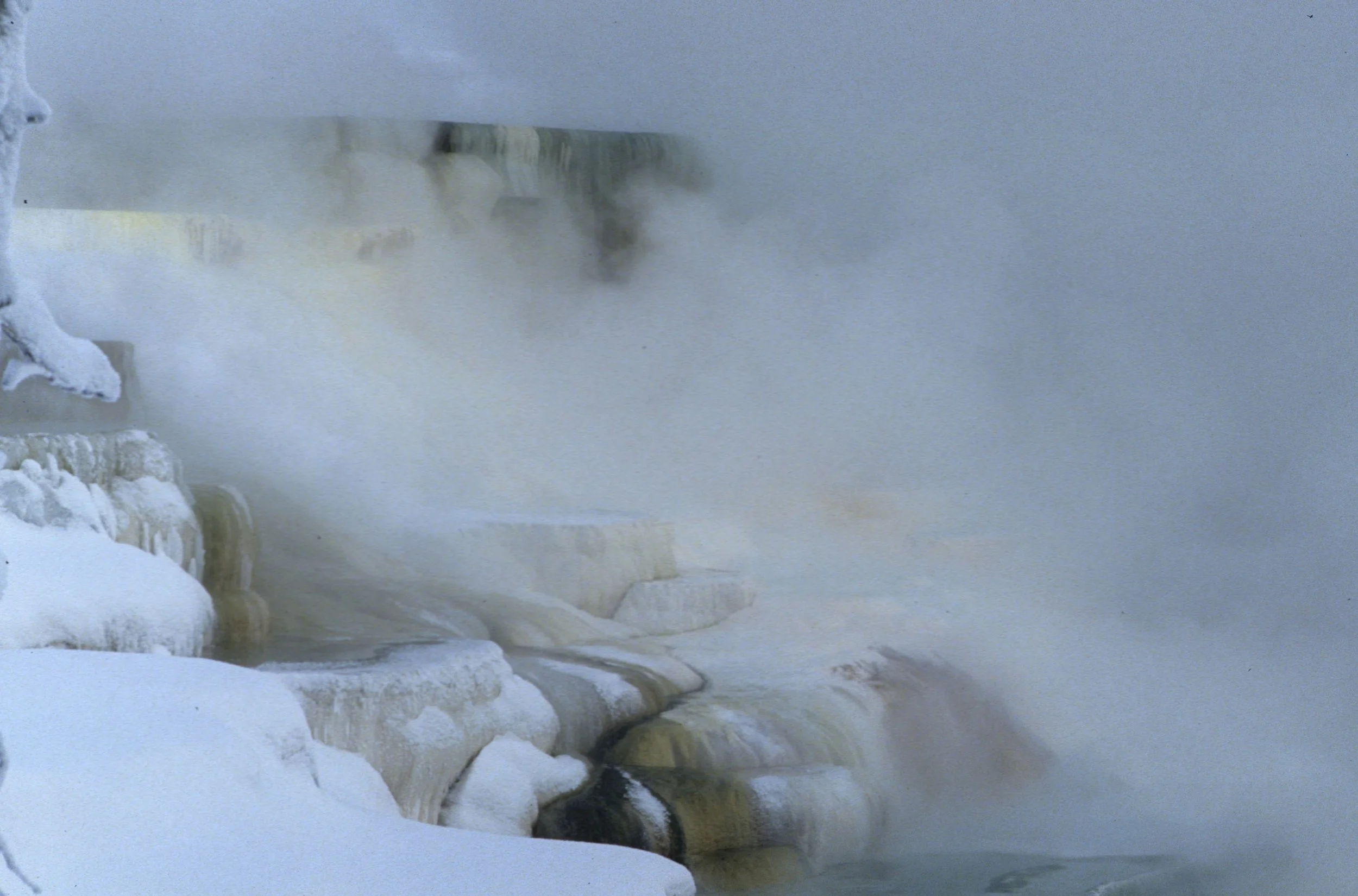 YELLOWSTONE IN WINTER - MAMMOTH HOTSPRINGS D.jpg