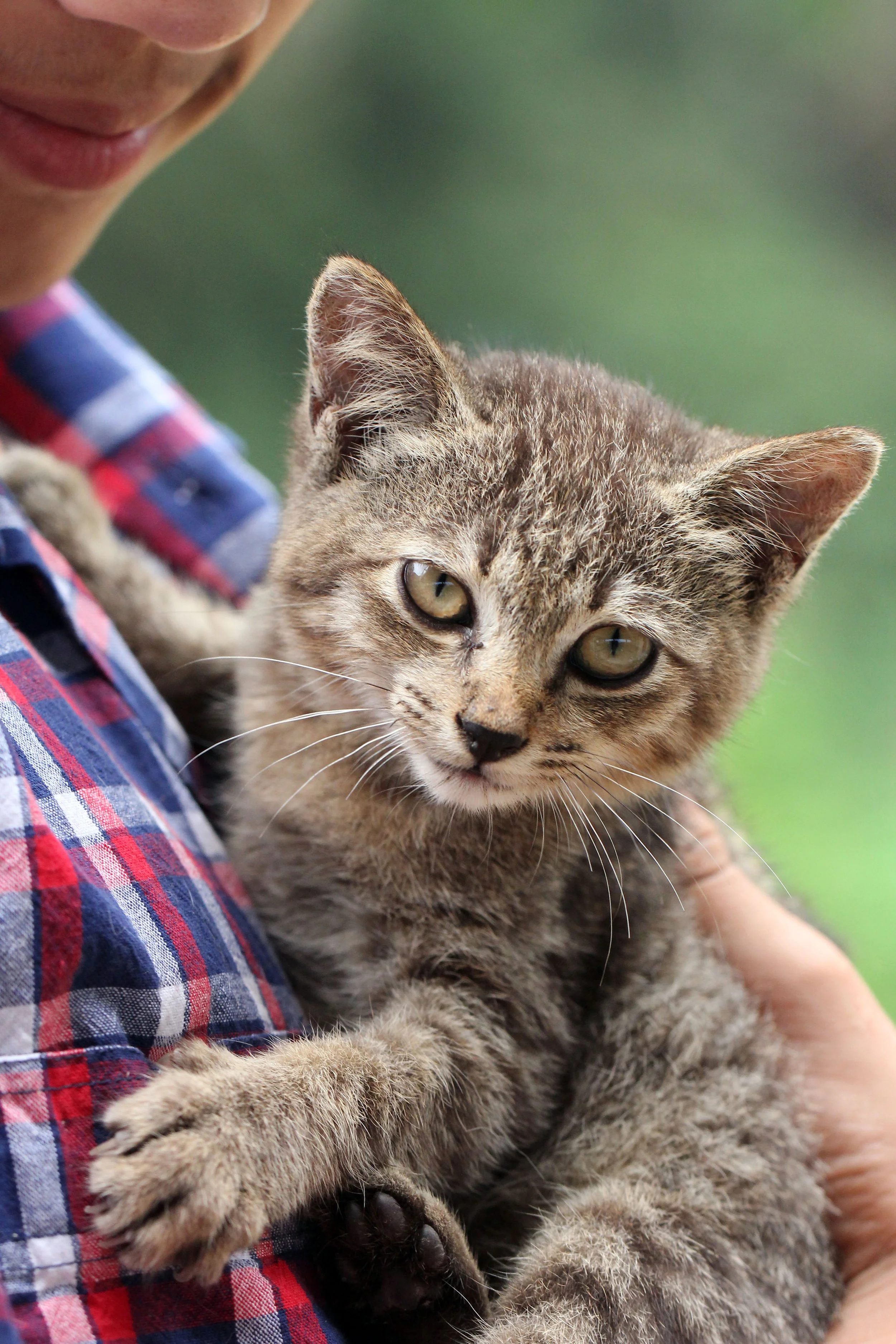 2015 Koh Lanta October Break Trip  (263).JPG