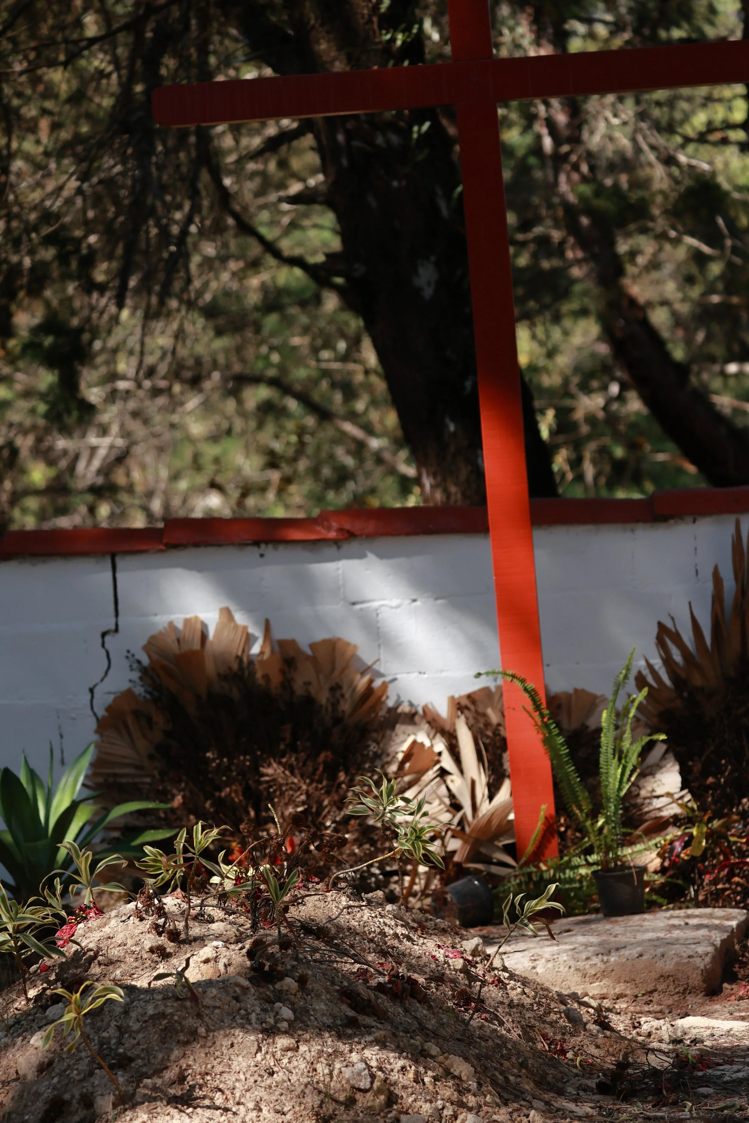 Caraca Seminary, Minas Gerais (95).JPG