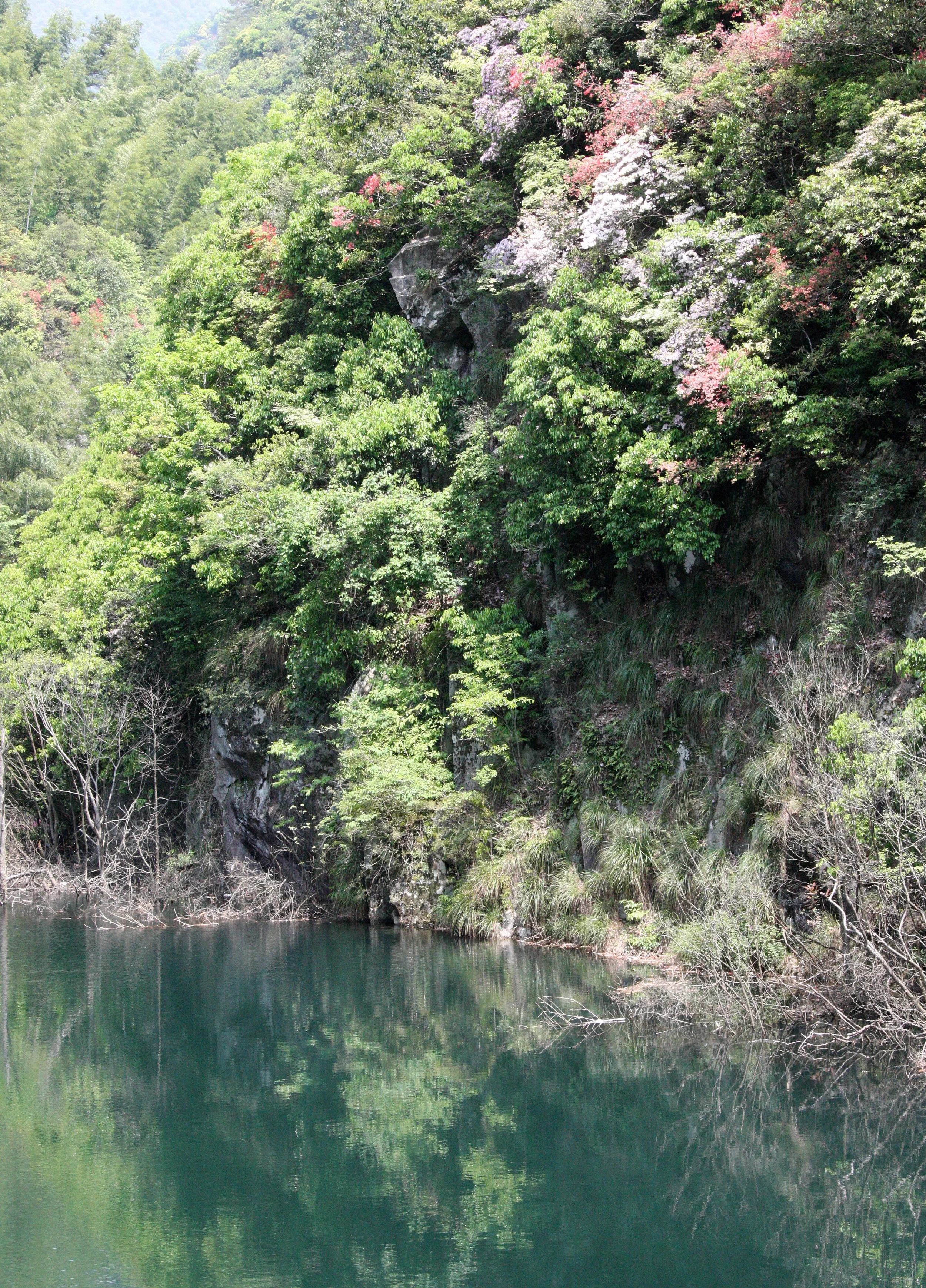 MONKEY VALLEY - FUXI VILLAGE NEAR HUANGSHAN CHINA (21).JPG