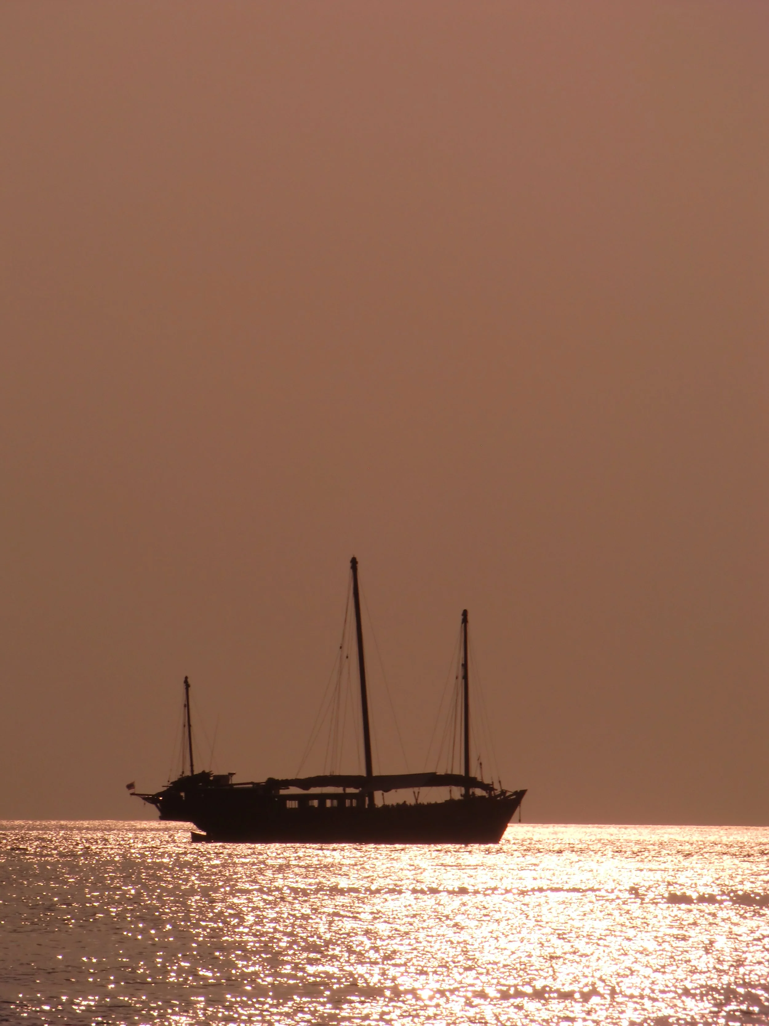 2013-14 Similan Islands Misc Images (54).JPG