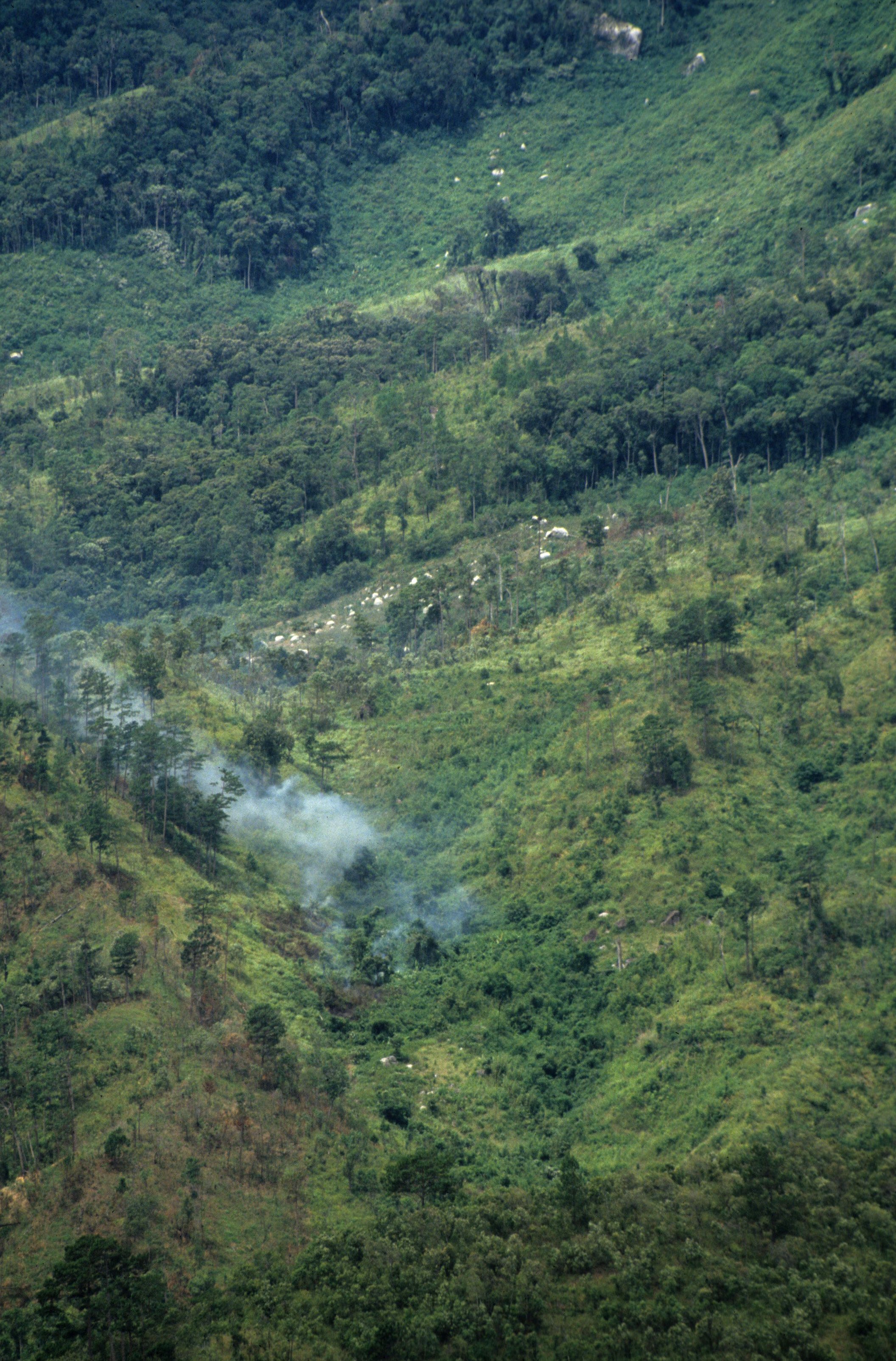 HILLTRIBE SLASH AND BURN.jpg