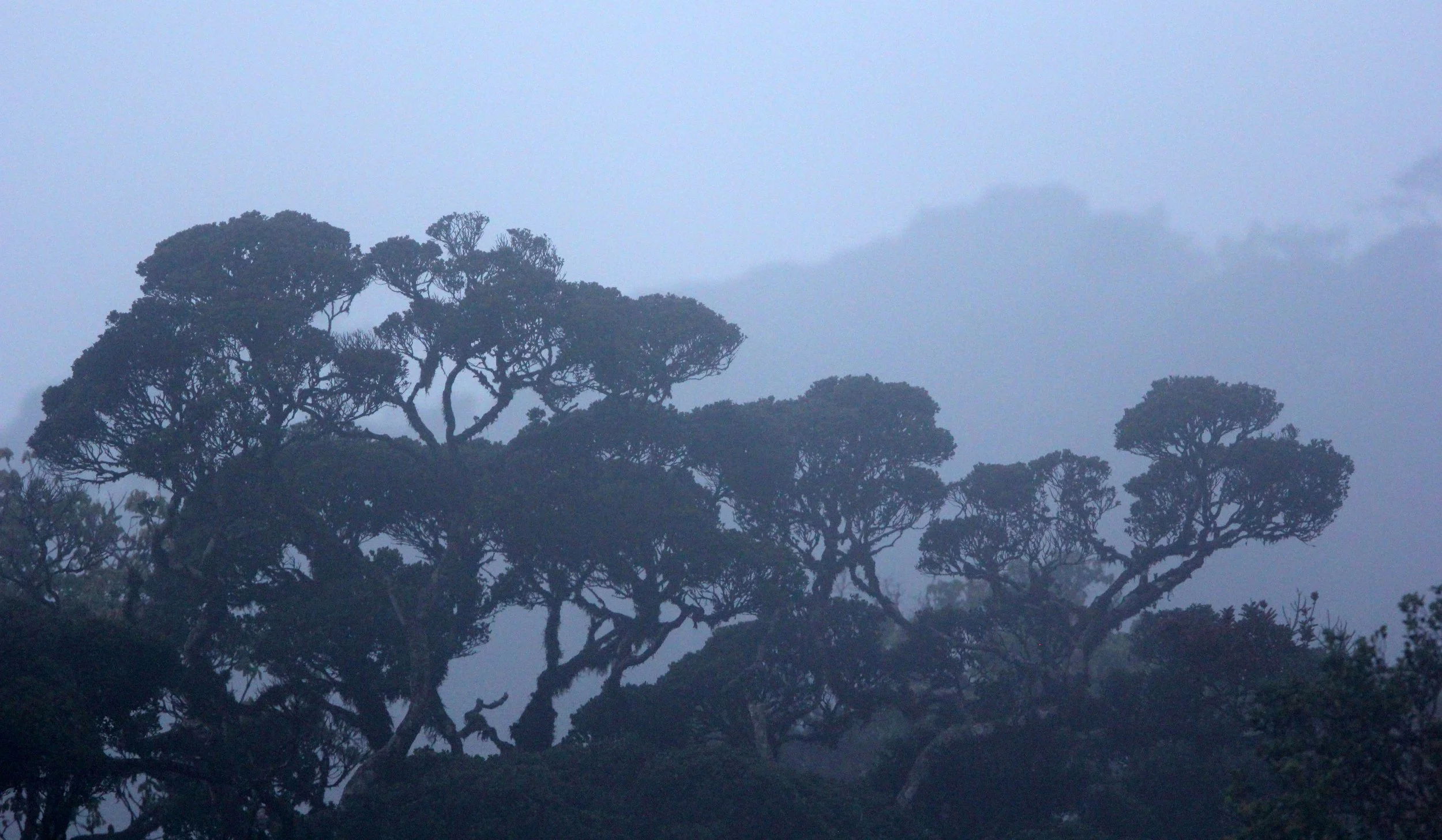 HORTON PLAINS NATIONAL PARK SRI LANKA (8).JPG