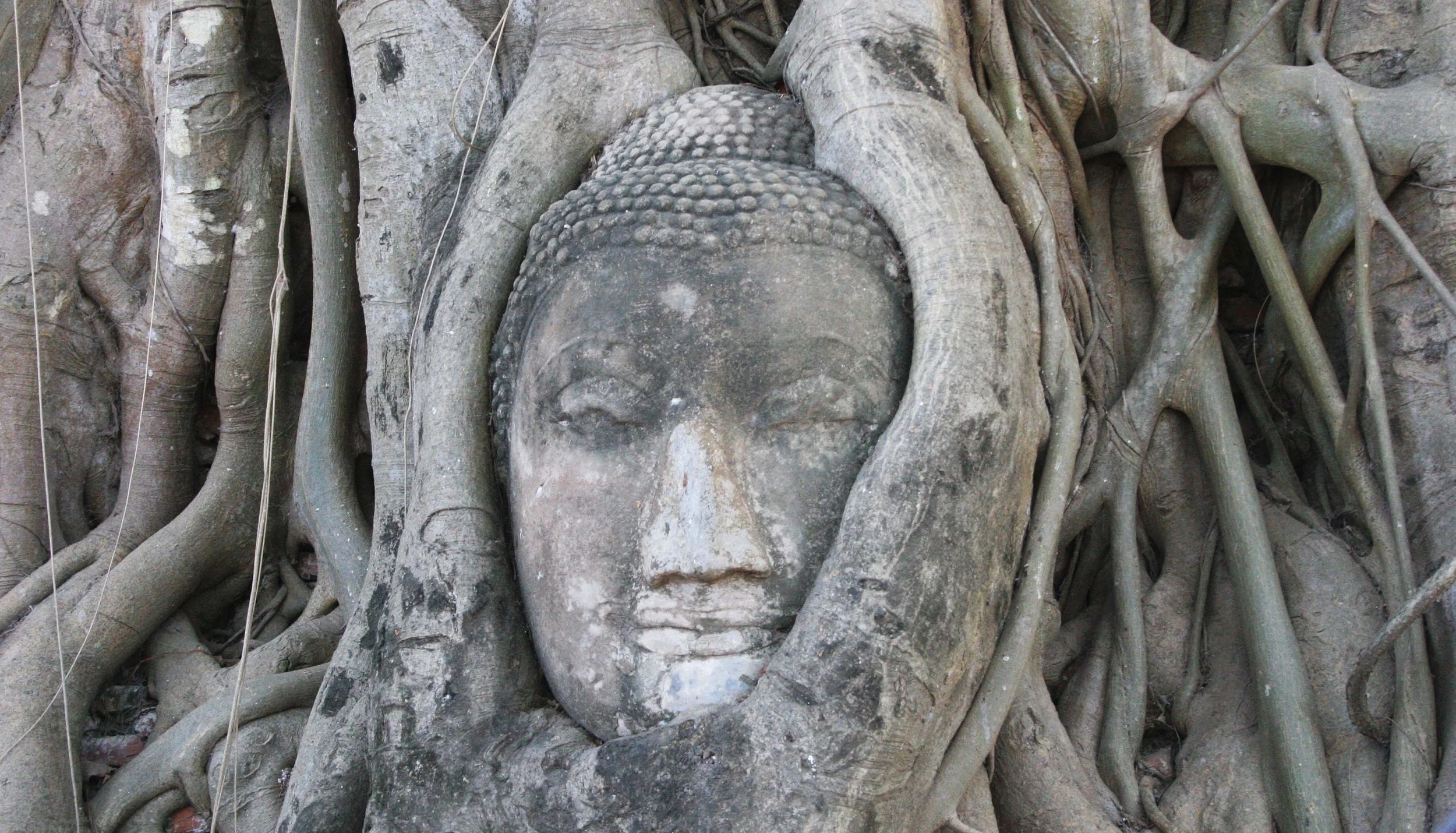 AYUDTHAYA - CHRISTMAS TRIP 2008 (29).JPG