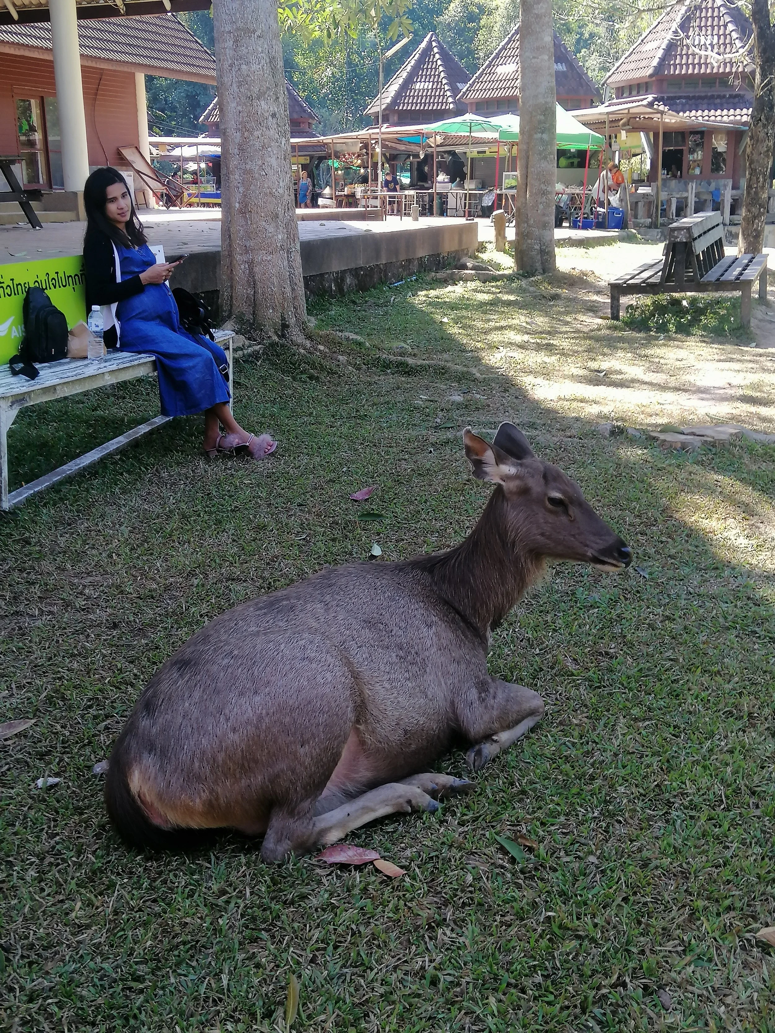 2019 Khao Yai National Park Camping with Gift (48).jpg