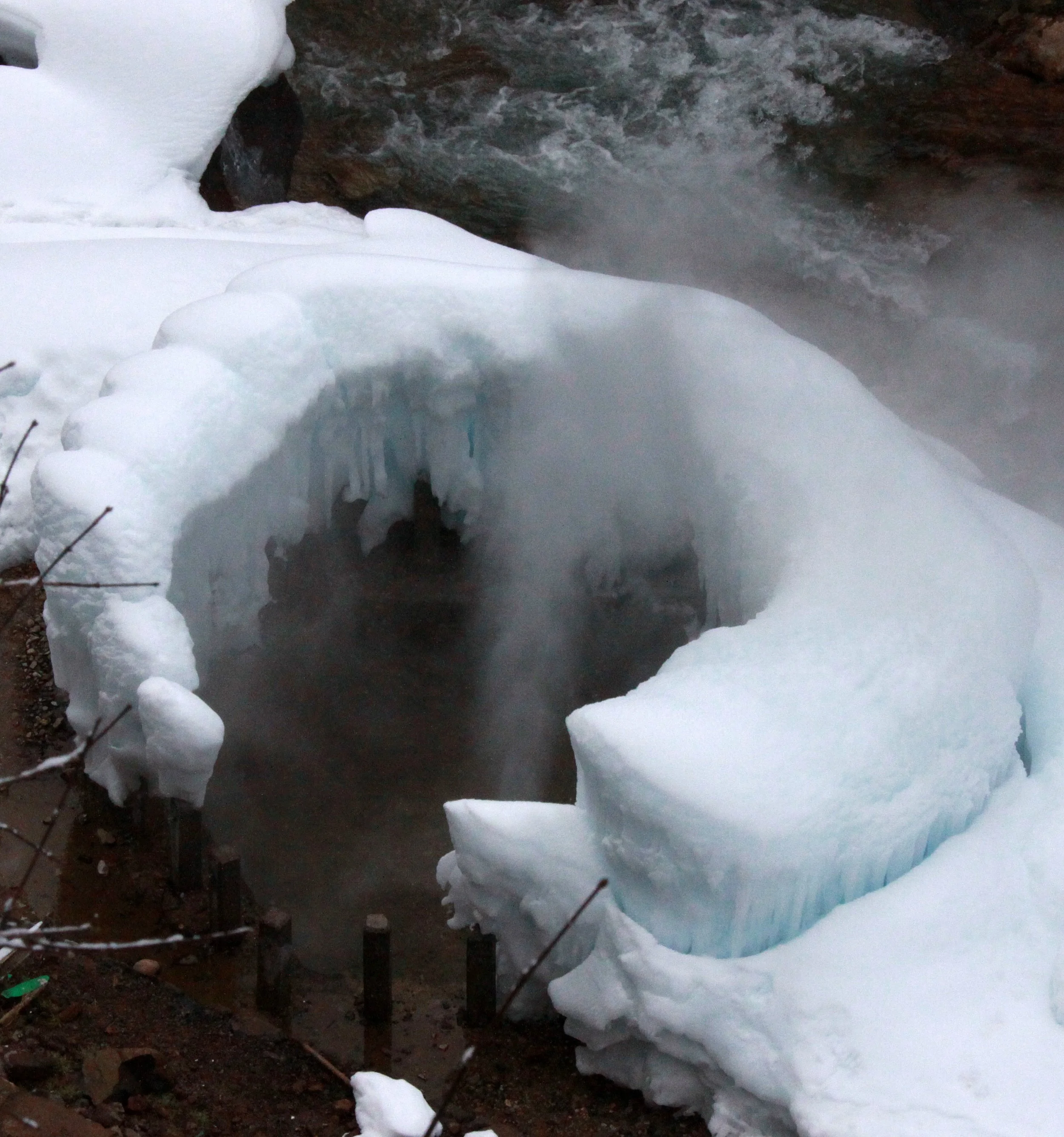 JIGOKUDANI ONSEN - NAGANO PREFECTURE JAPAN - FOREST SCENCES (2).JPG