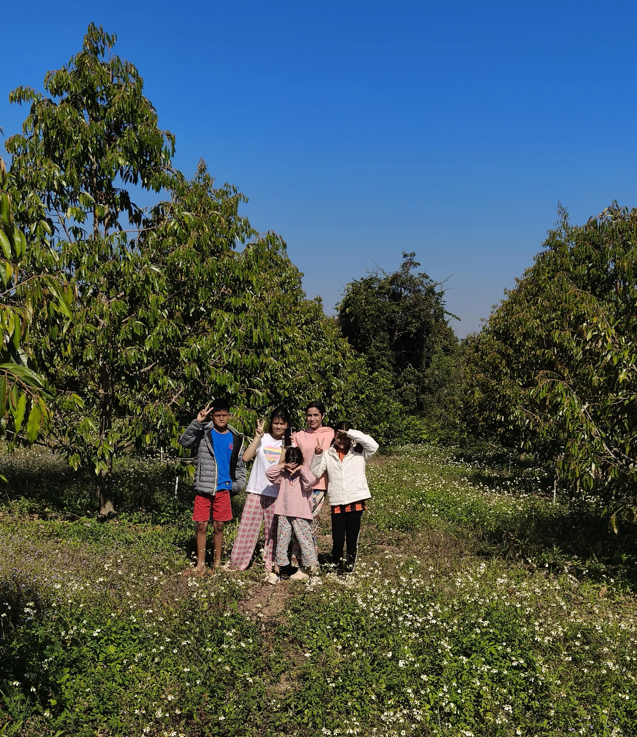 Ngao Durian Farm January 1 2026 (10).jpg