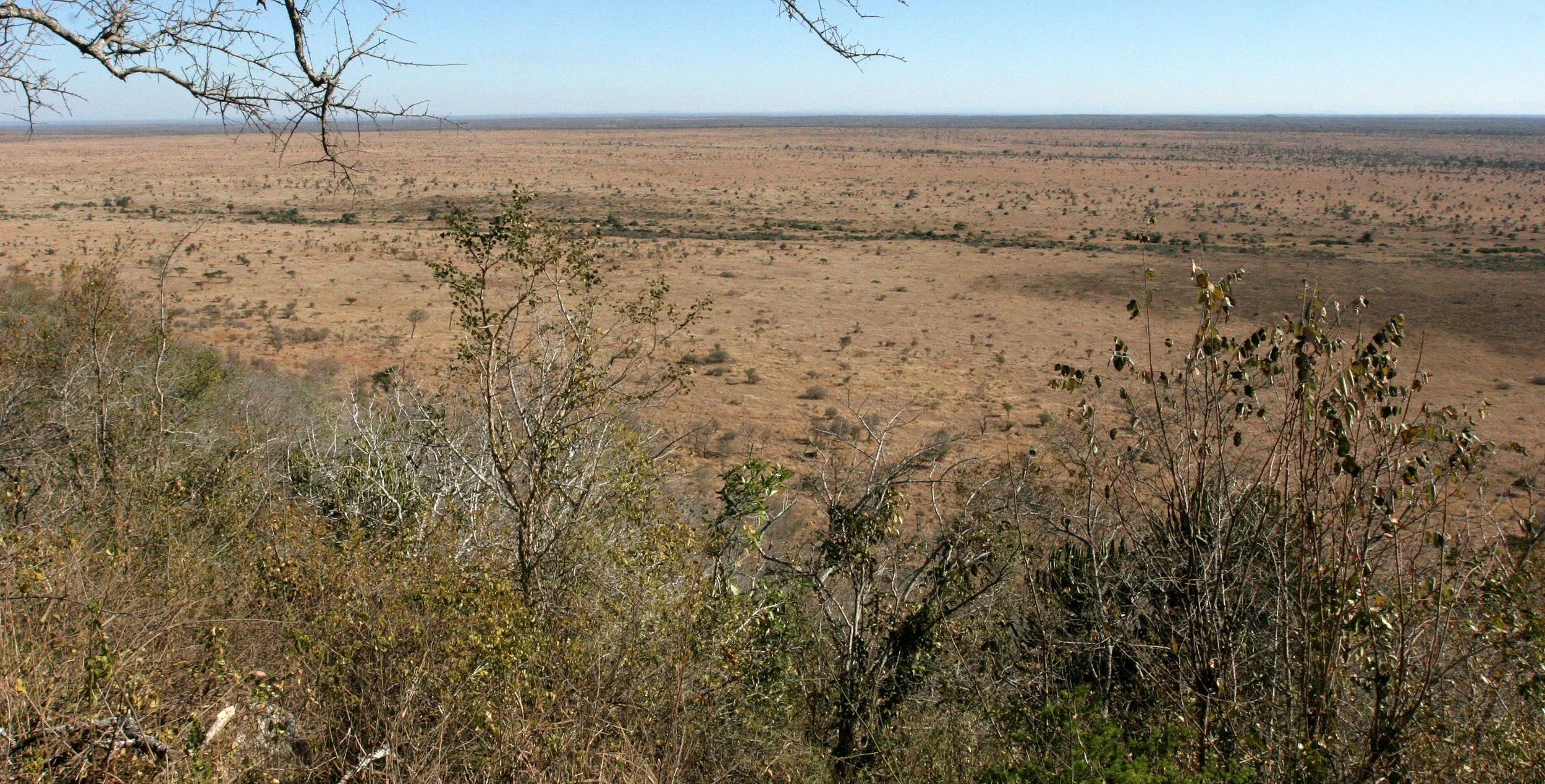 KRUGER NATIONAL PARK SOUTH AFRICA - BUSHVELD COMMUNITY (2).JPG