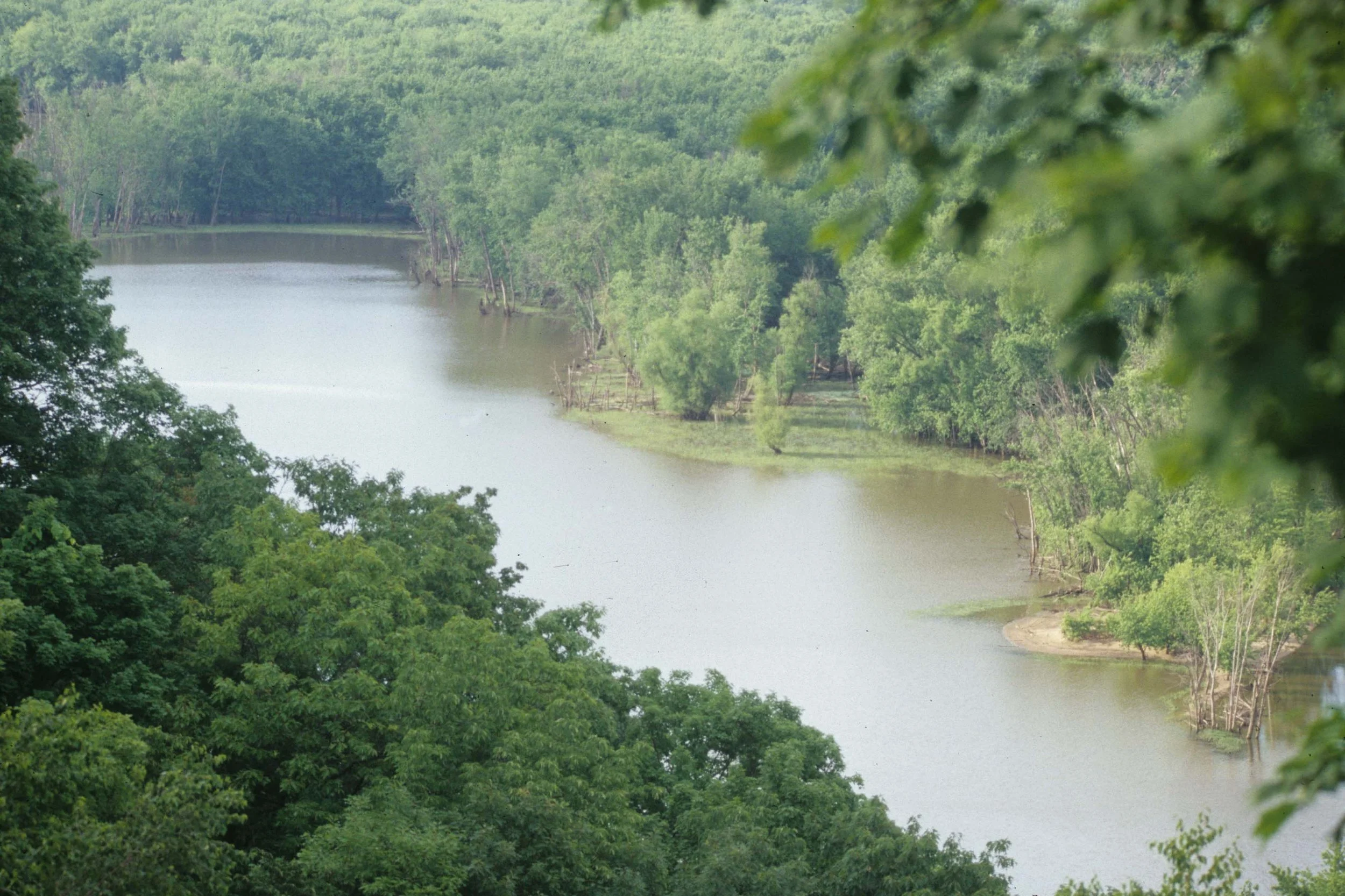 Midwestern Hardwood Forest at Effigy Mounds National Monument Iowa