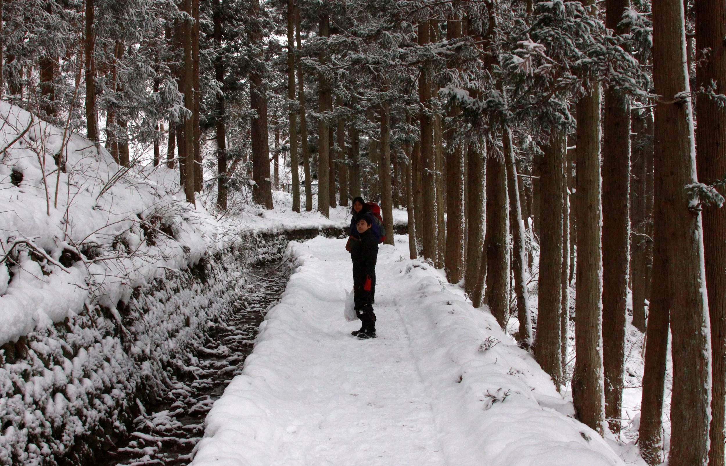 JIGOKUDANI ONSEN - NAGANO PREFECTURE JAPAN - FOREST SCENCES (20).JPG