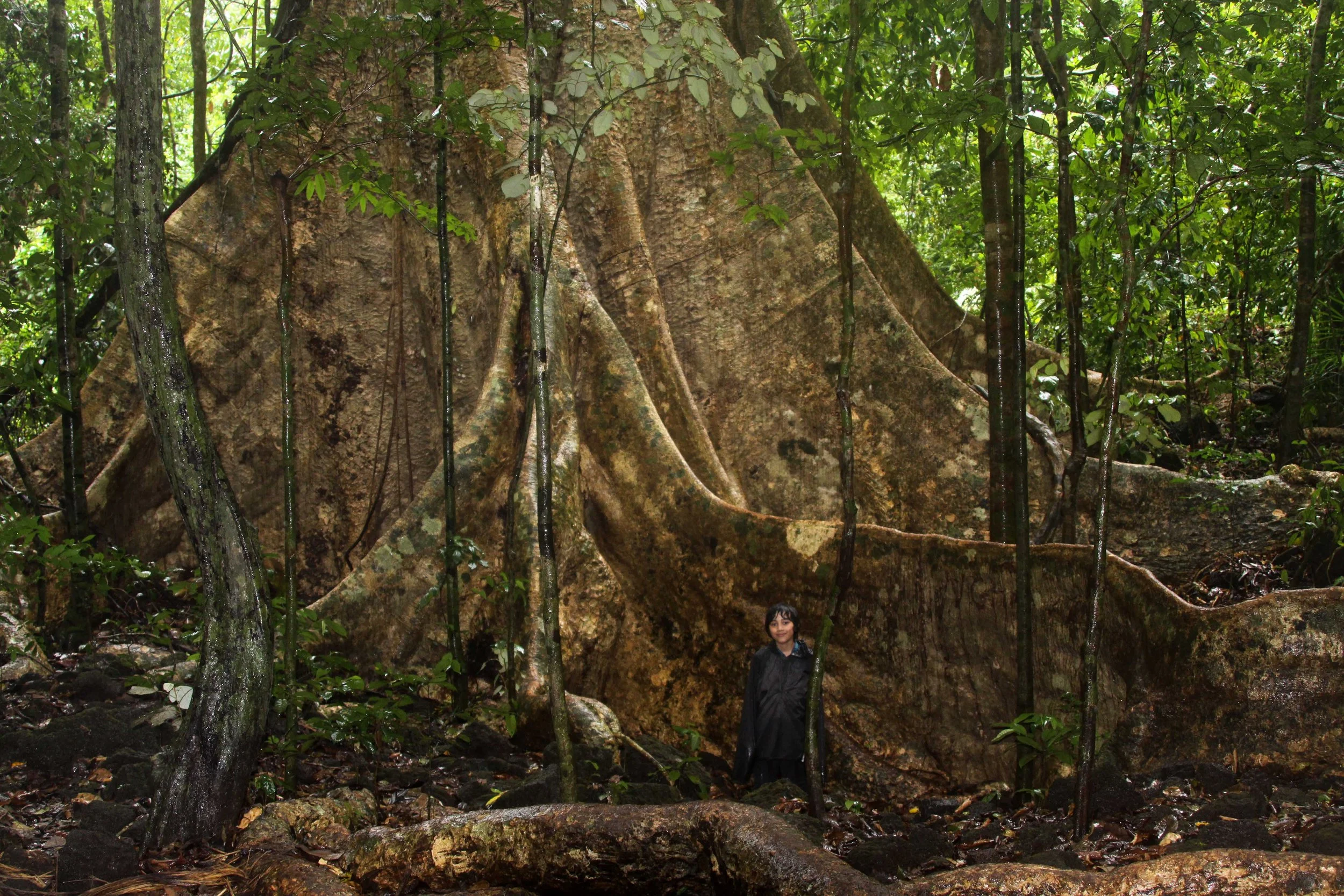 CAT TIEN NATIONAL PARK VIET NAM (34).JPG
