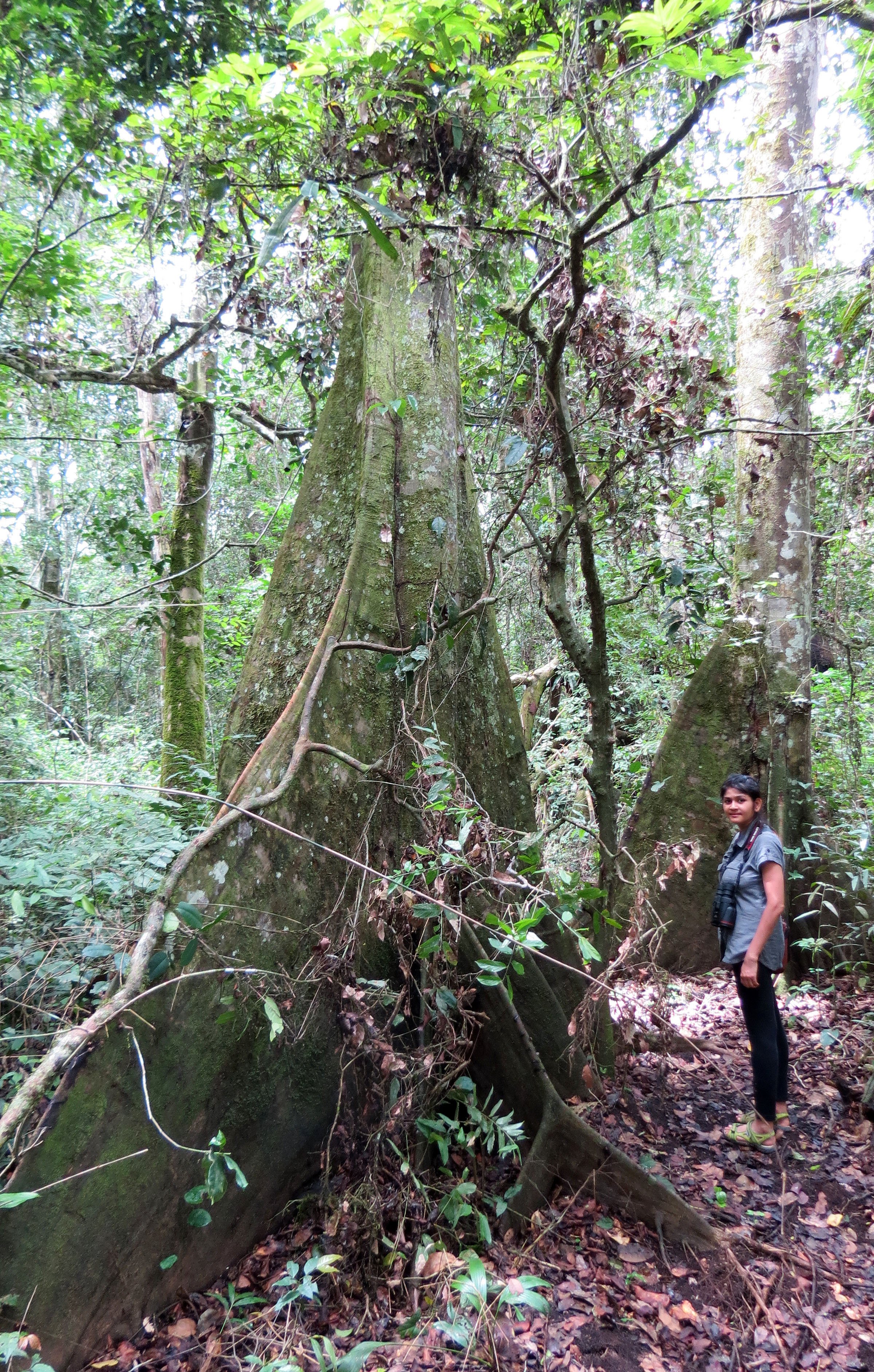 DZANGA NDOKI NATIONAL PARK  - CENTRAL AFRICAN REPUBLIC (9).JPG