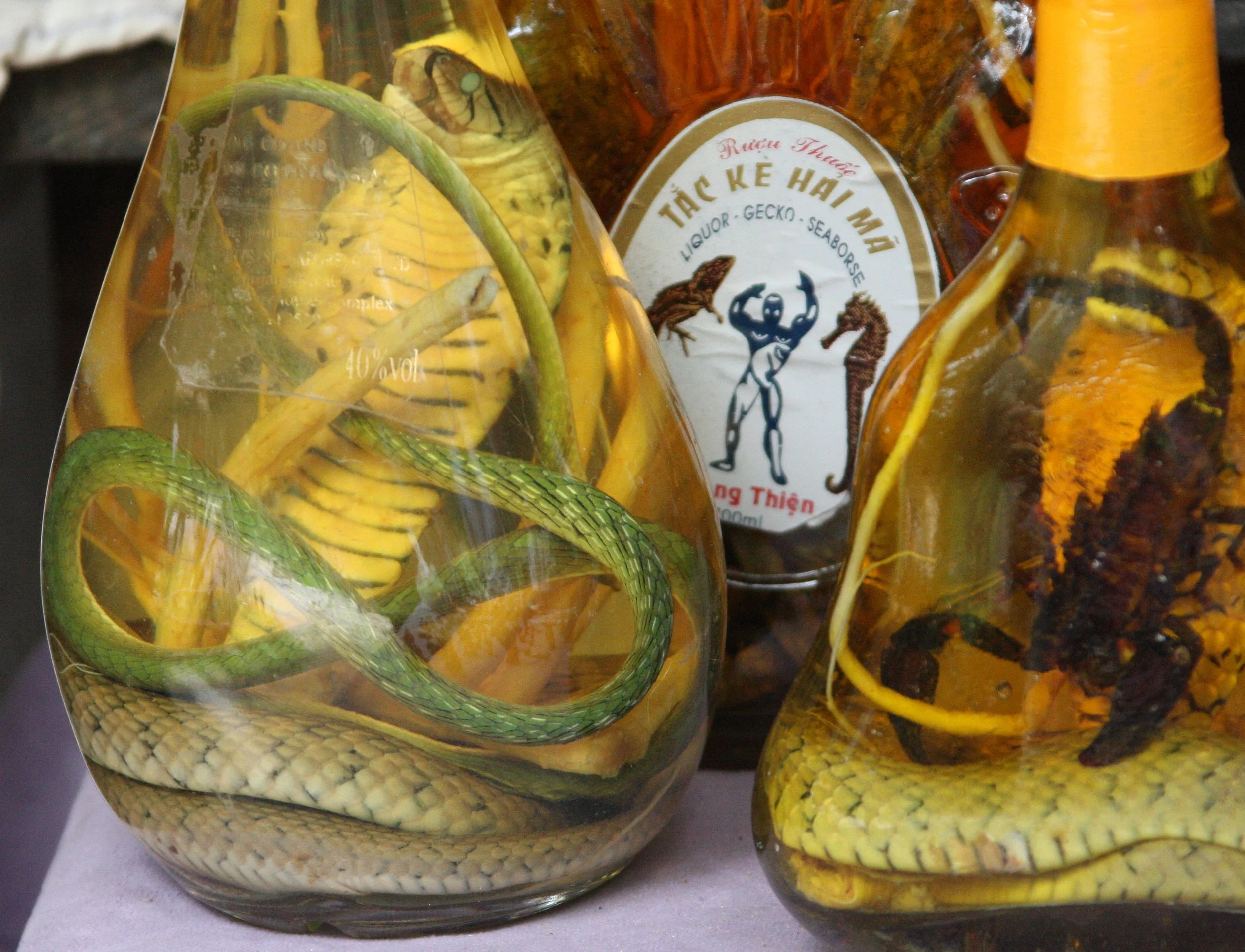 KULEN MOUNTAIN CAMBODIA - 1000 LINGHA RIVER (22).JPG