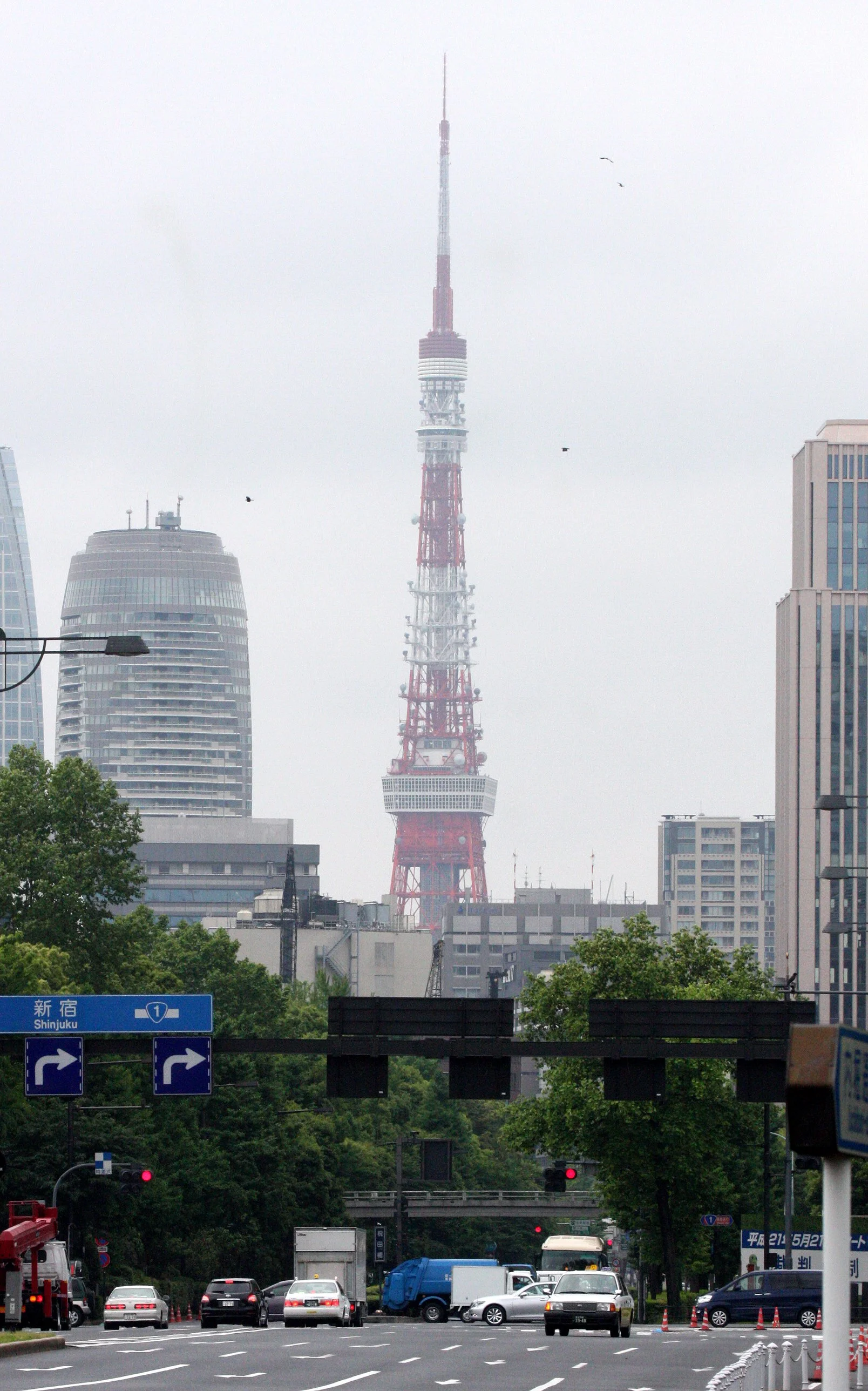 TOKYO - MAY 2009 - TSUKIJI MARKET.JPG