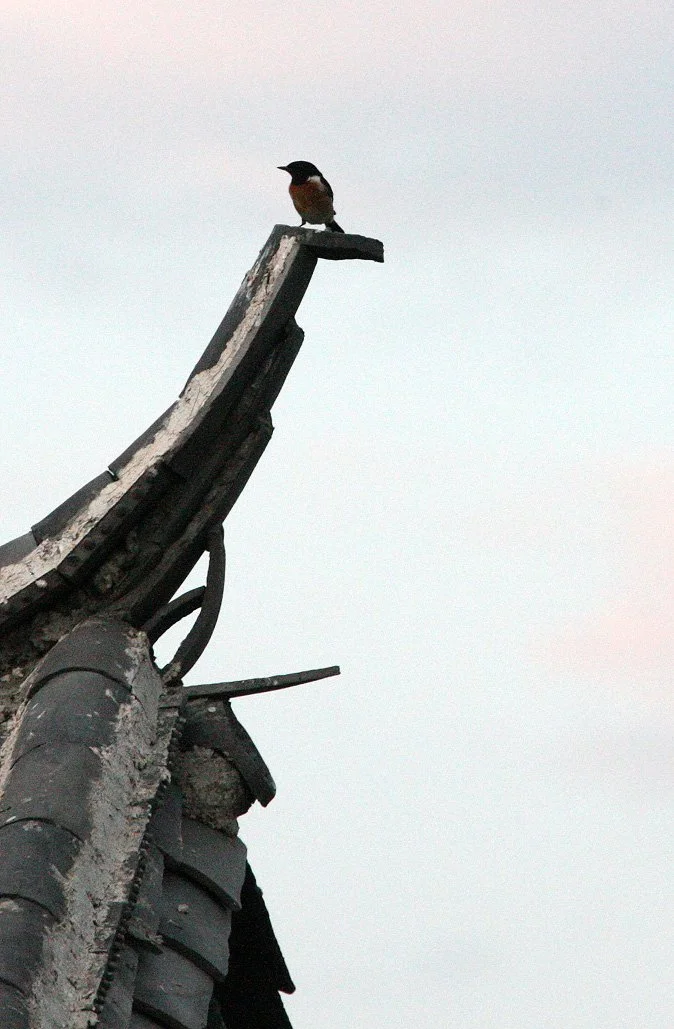 LINDEN CENTER - XIZHOU VILLAGE YUNNAN CHINA (54).JPG