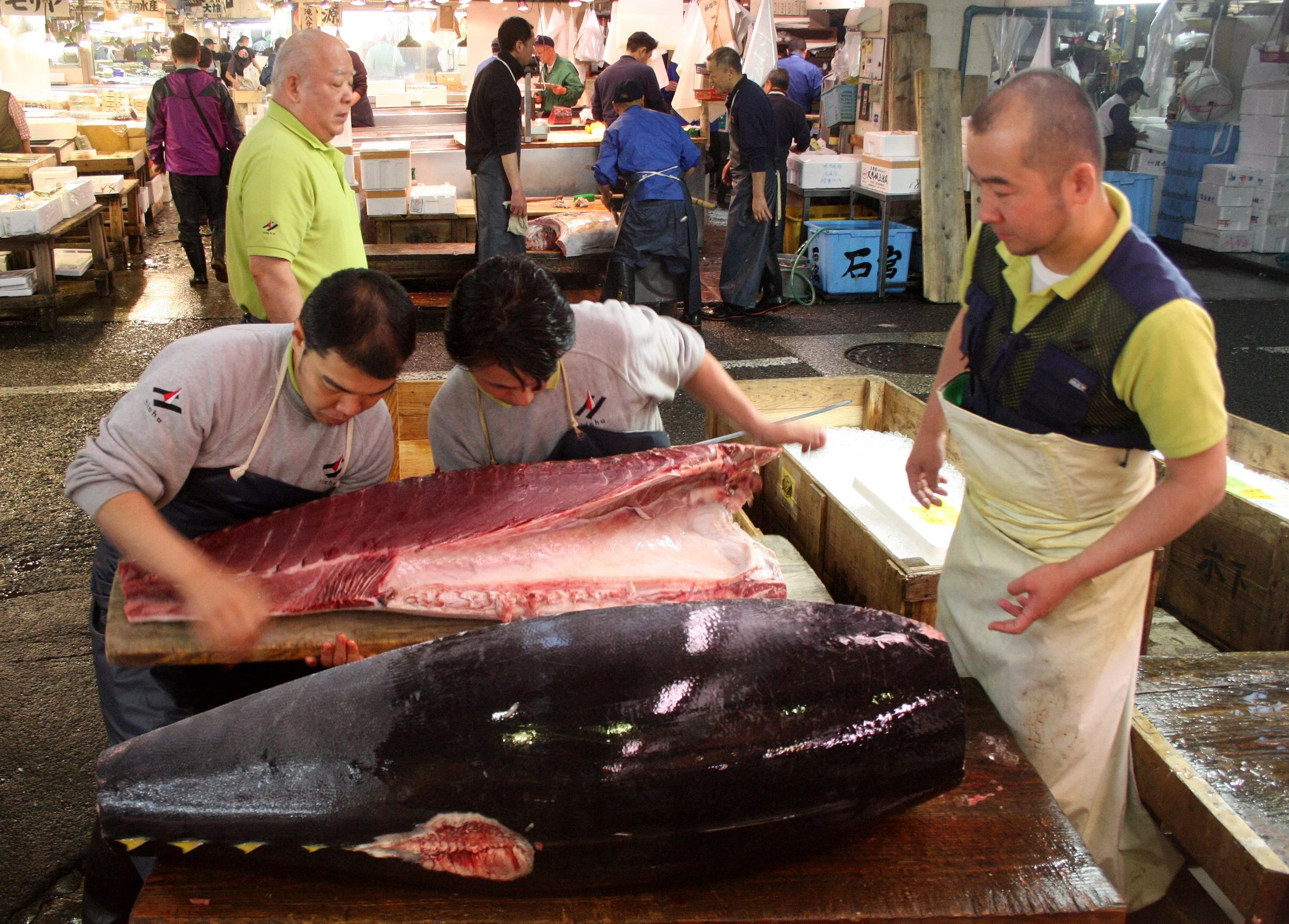 TOKYO - MAY 2009 - TSUKIJI MARKET (44).JPG