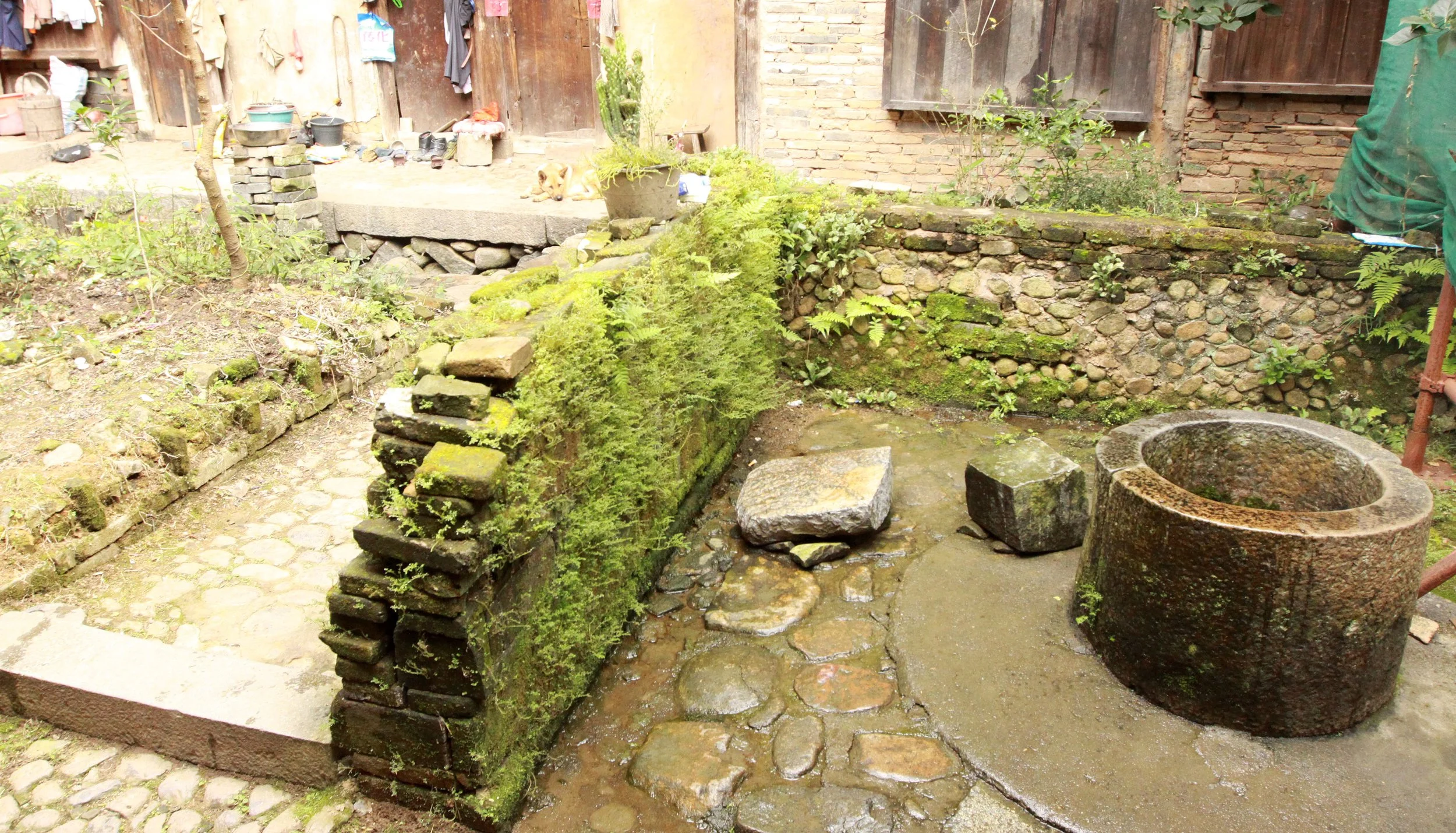 CHENGQILOU HAKKA VILLAGE - FUJIAN CHINA (91).JPG