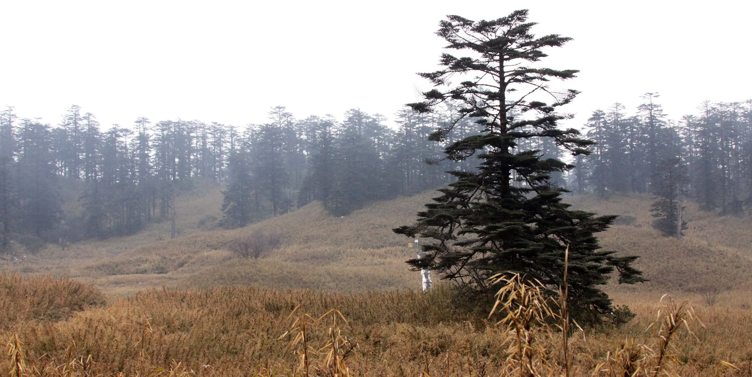 WAWU SHAN GEOPARK - SICHUAN CHINA (30).JPG