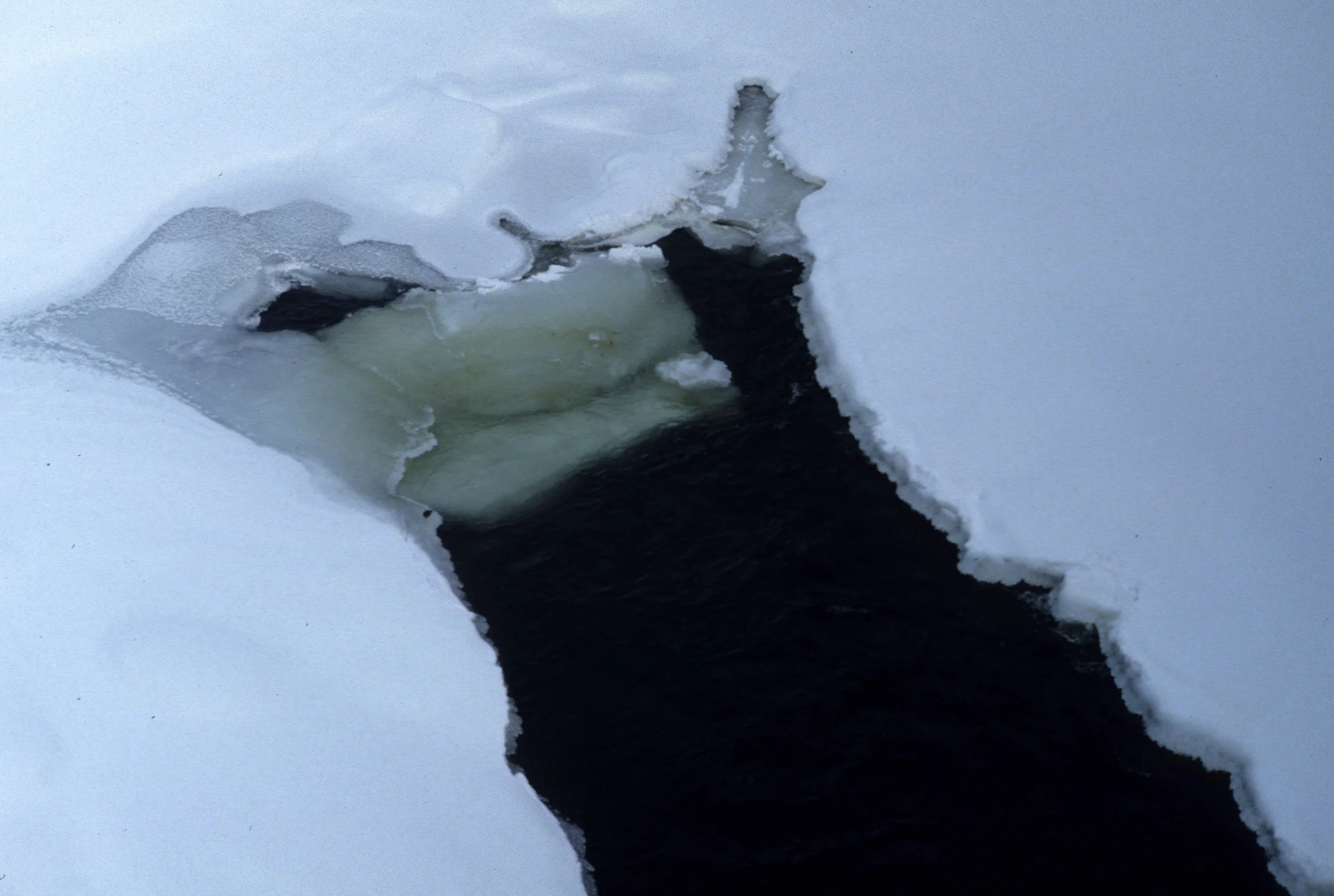 YELLOWSTONE IN WINTER - YELLOWSTONE RIVER.jpg