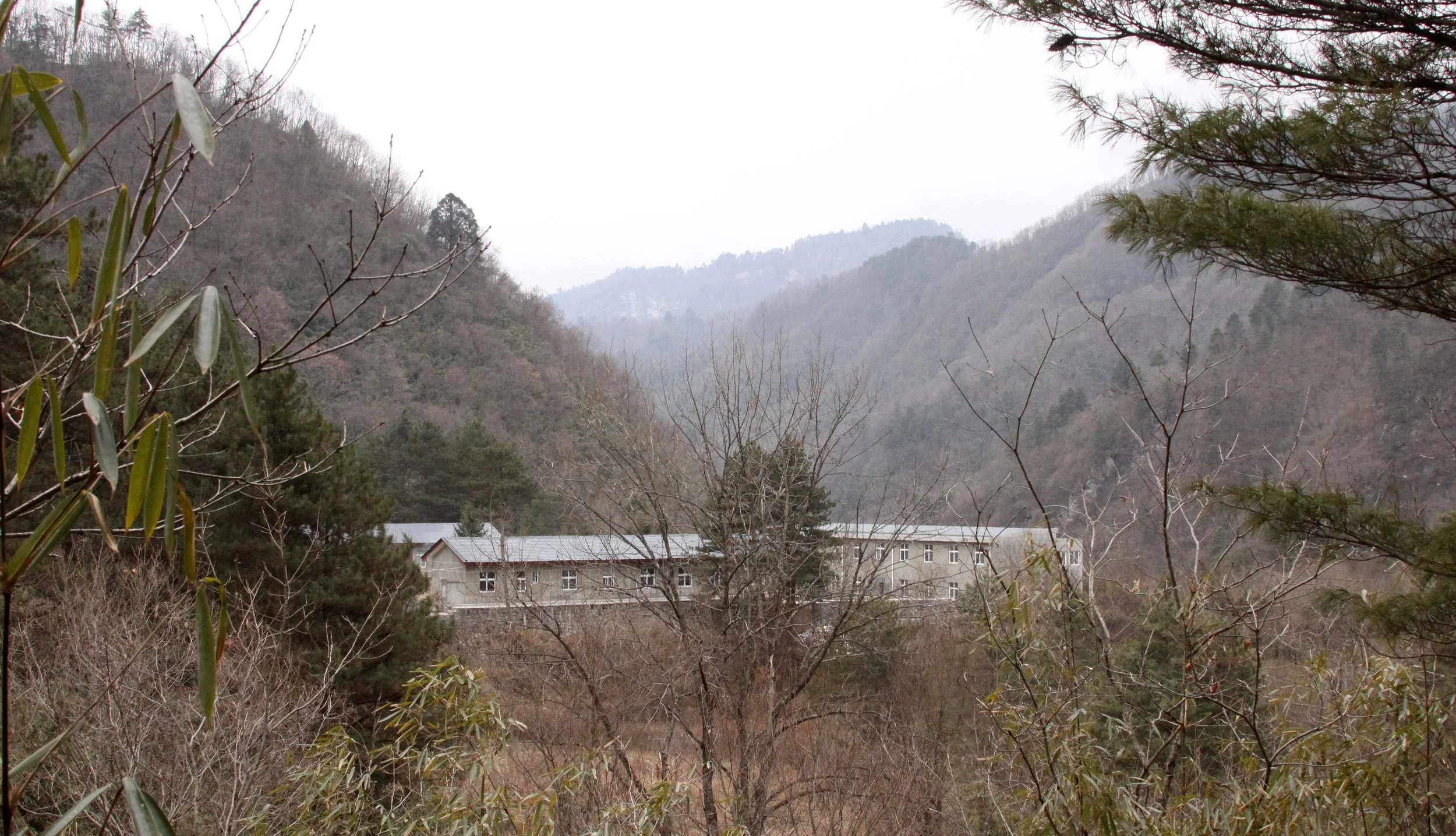 FOPING NATURE RESERVE - SHAANXI PROVINCE CHINA (167).JPG