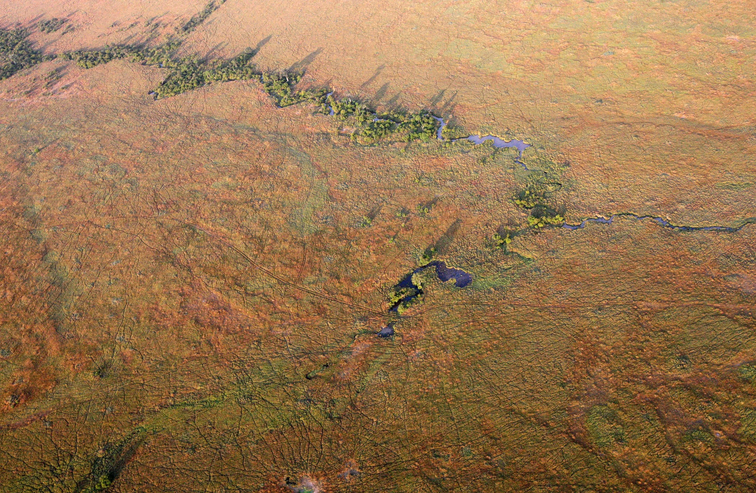 MASAI MARA NATIONAL PARK KENYA (119).JPG
