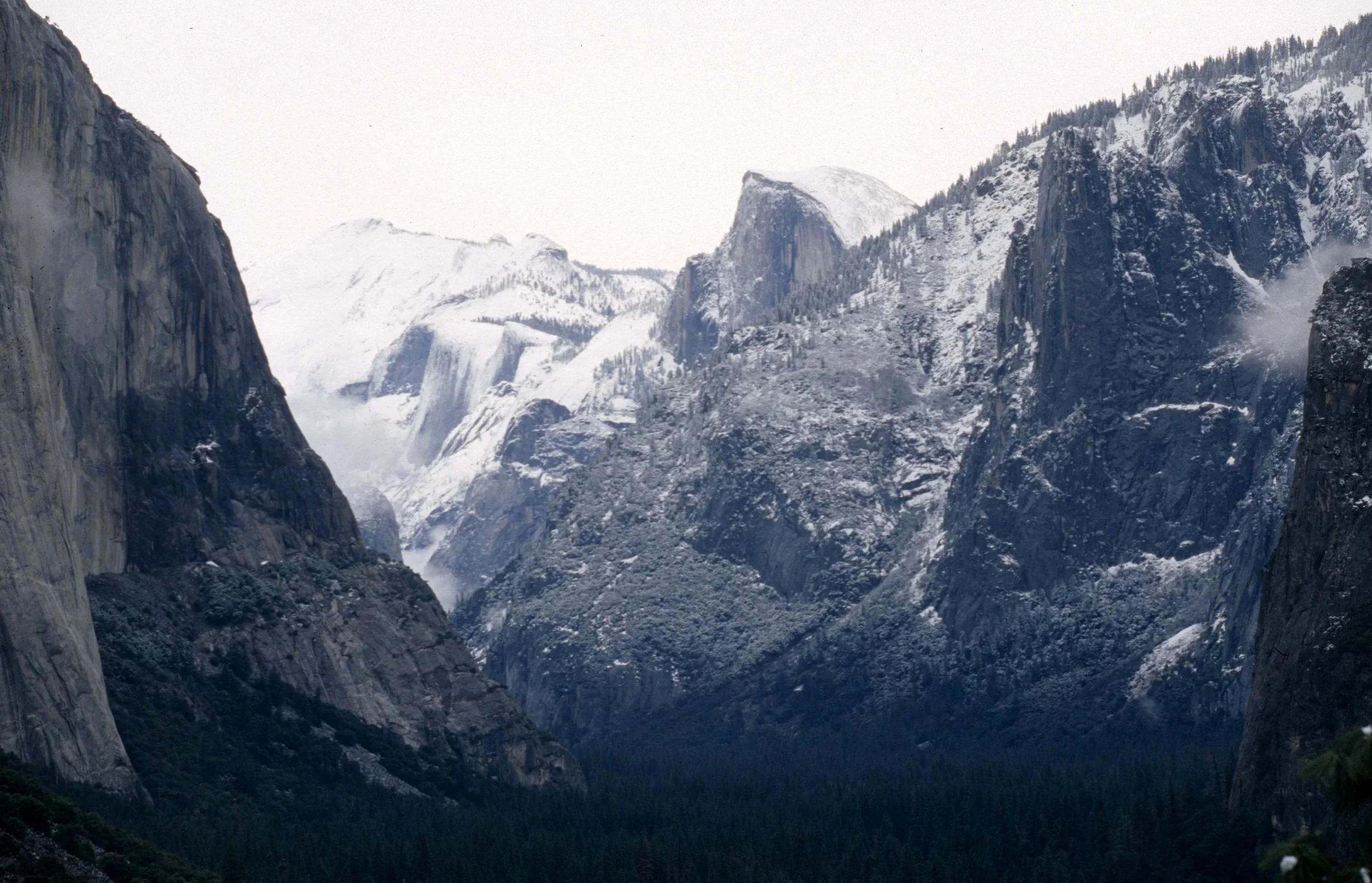 CALIFORNIA - YOSEMITE NP  (23).jpg