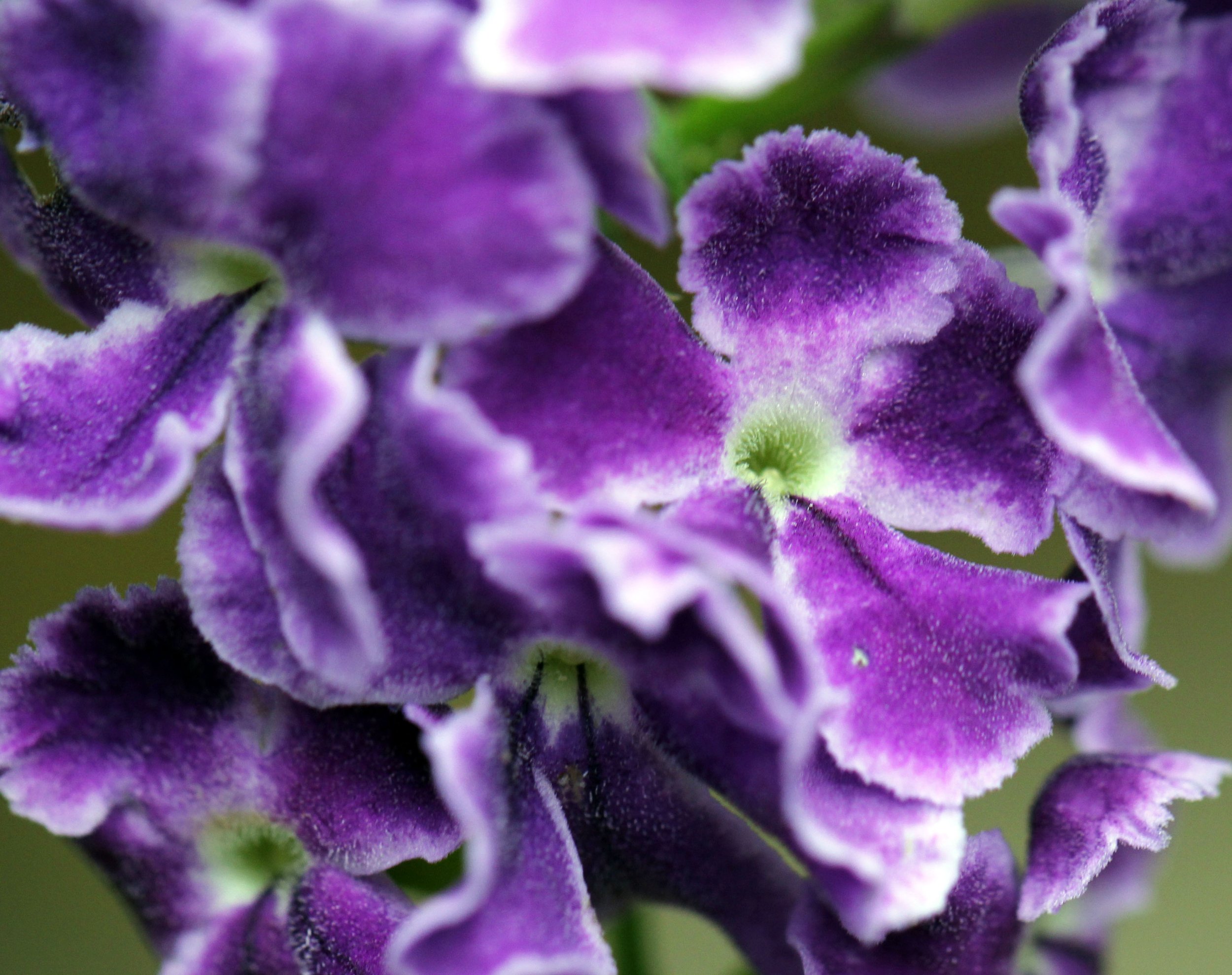 2013 Cha'am and Petchaburi with Family & Friends (12).JPG